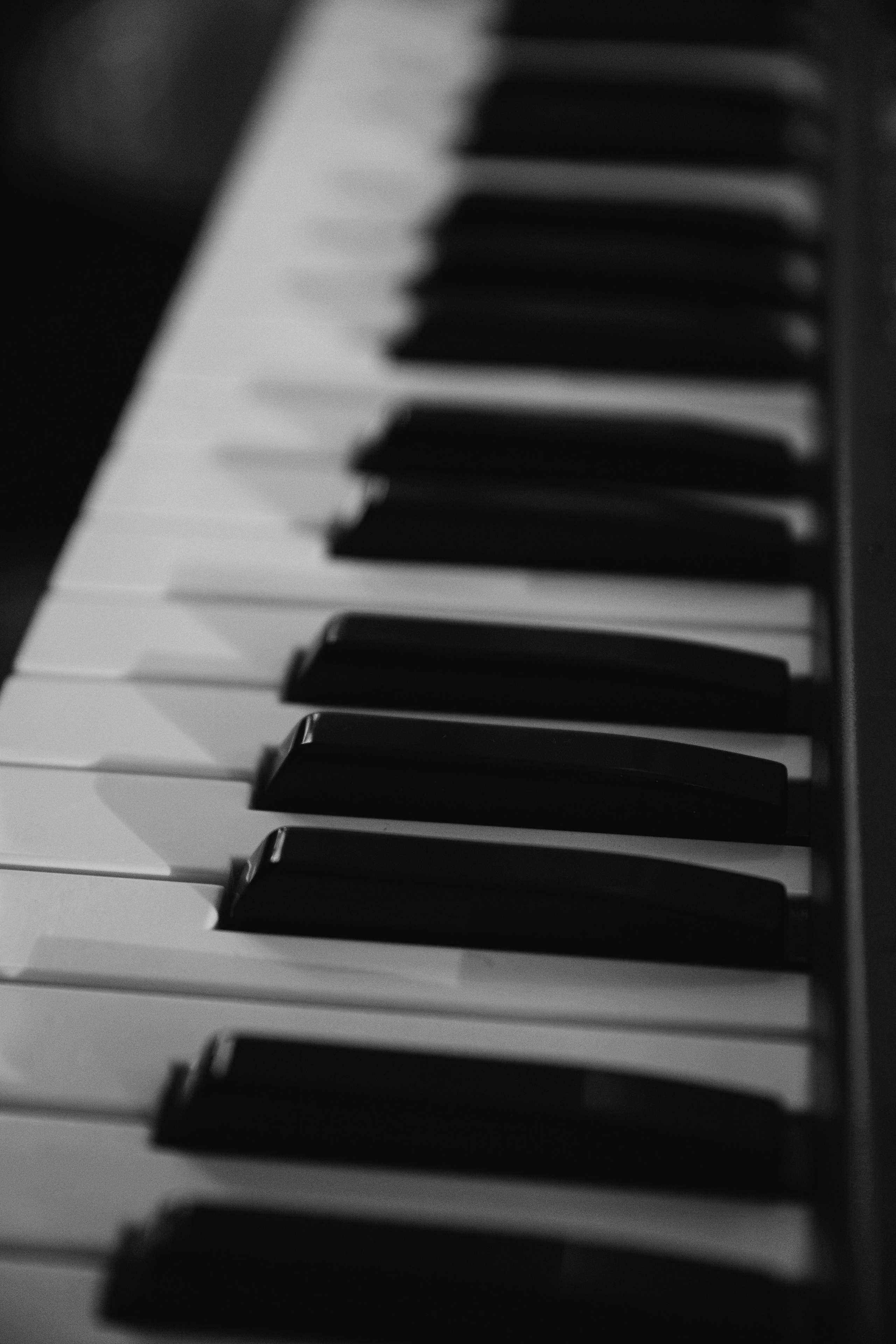 Нимфея (званый ужин для организаторов). Свадебный и семейный фотограф в Севастополе и Крыму Анастасия Сураева