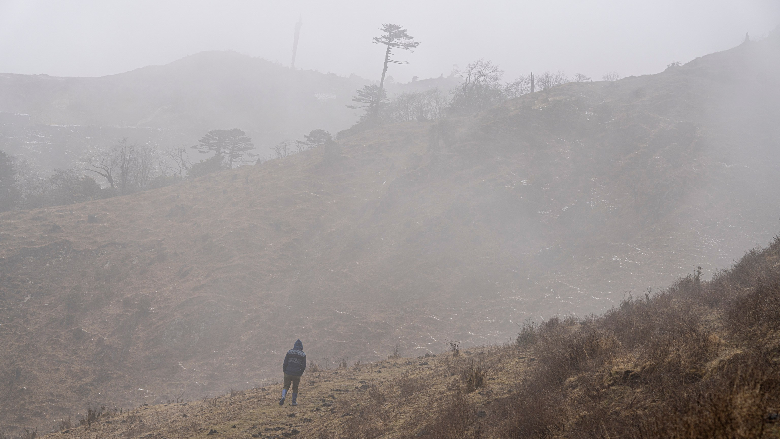 India travel. Фотограф Сергей Танков