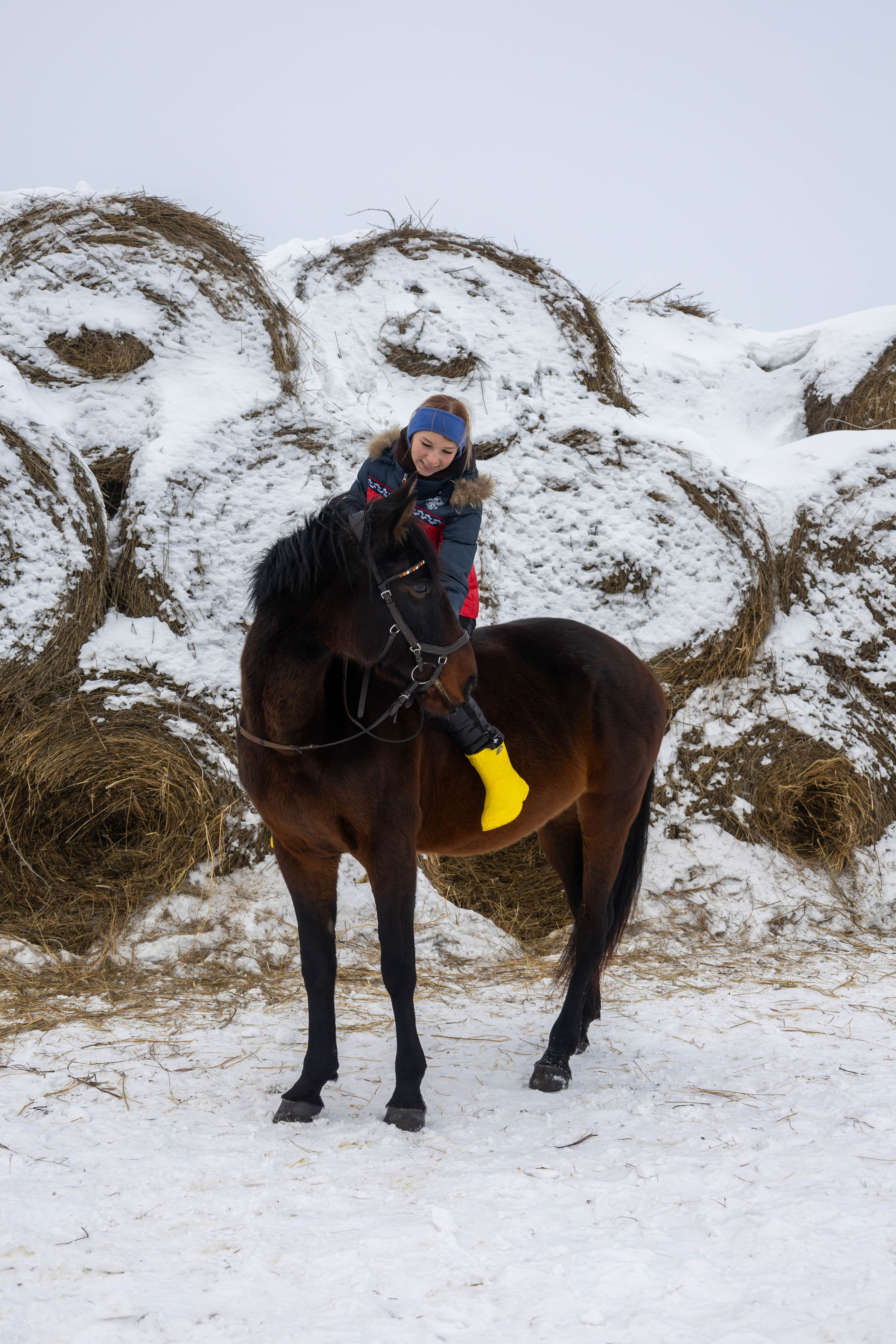 С лошадьми. Mintonov's Film Studio