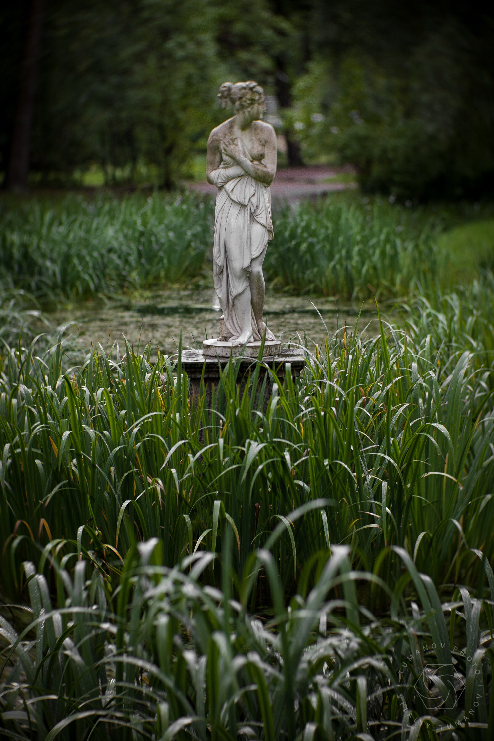 Ландшафтная фотография. Виталий Туманов — Ландшафтный фотограф