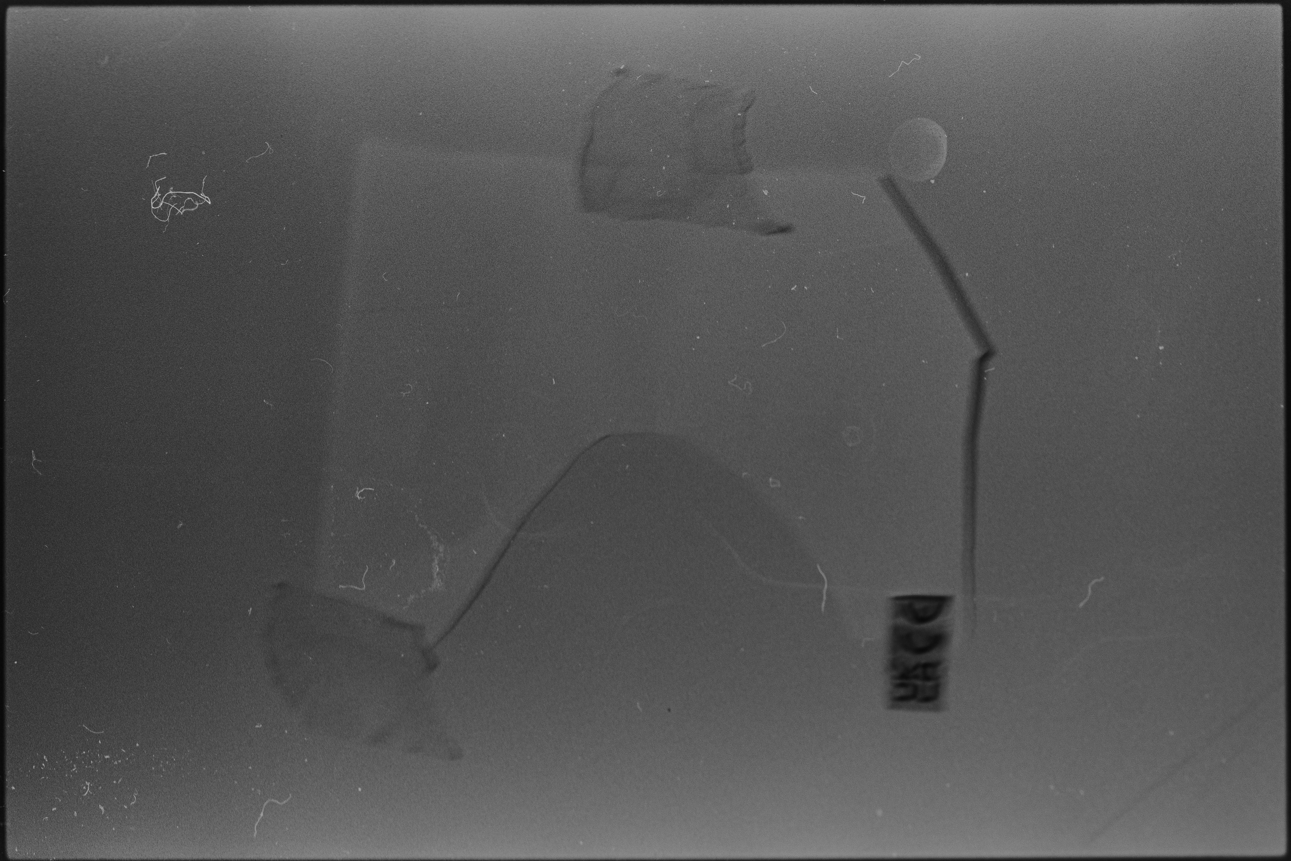 Traces. Veronika Verbitskaia | Contemporary Photographer | Dublin