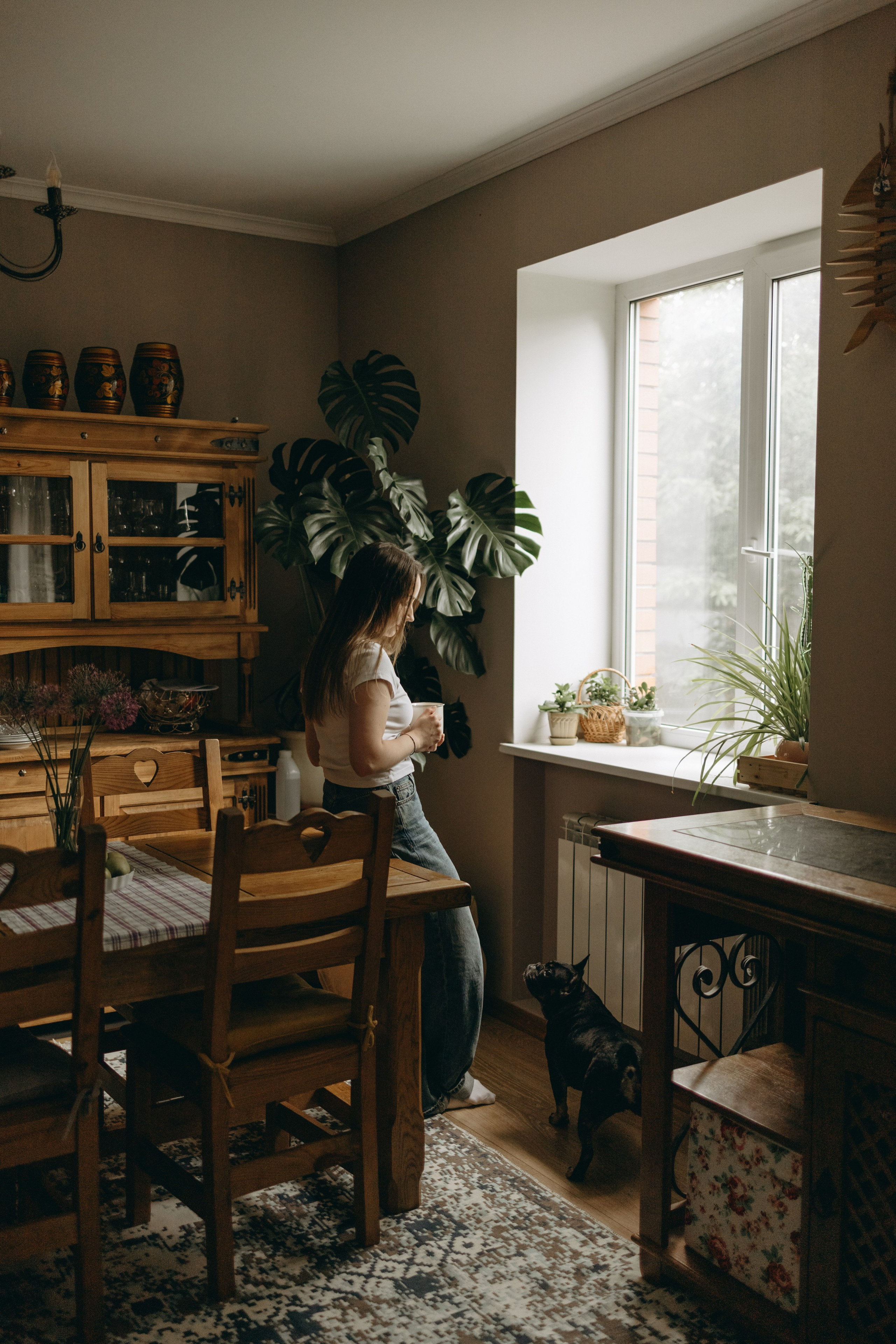 Софа и ее хвостики. Фотограф — Анималист | Санкт-Петербург