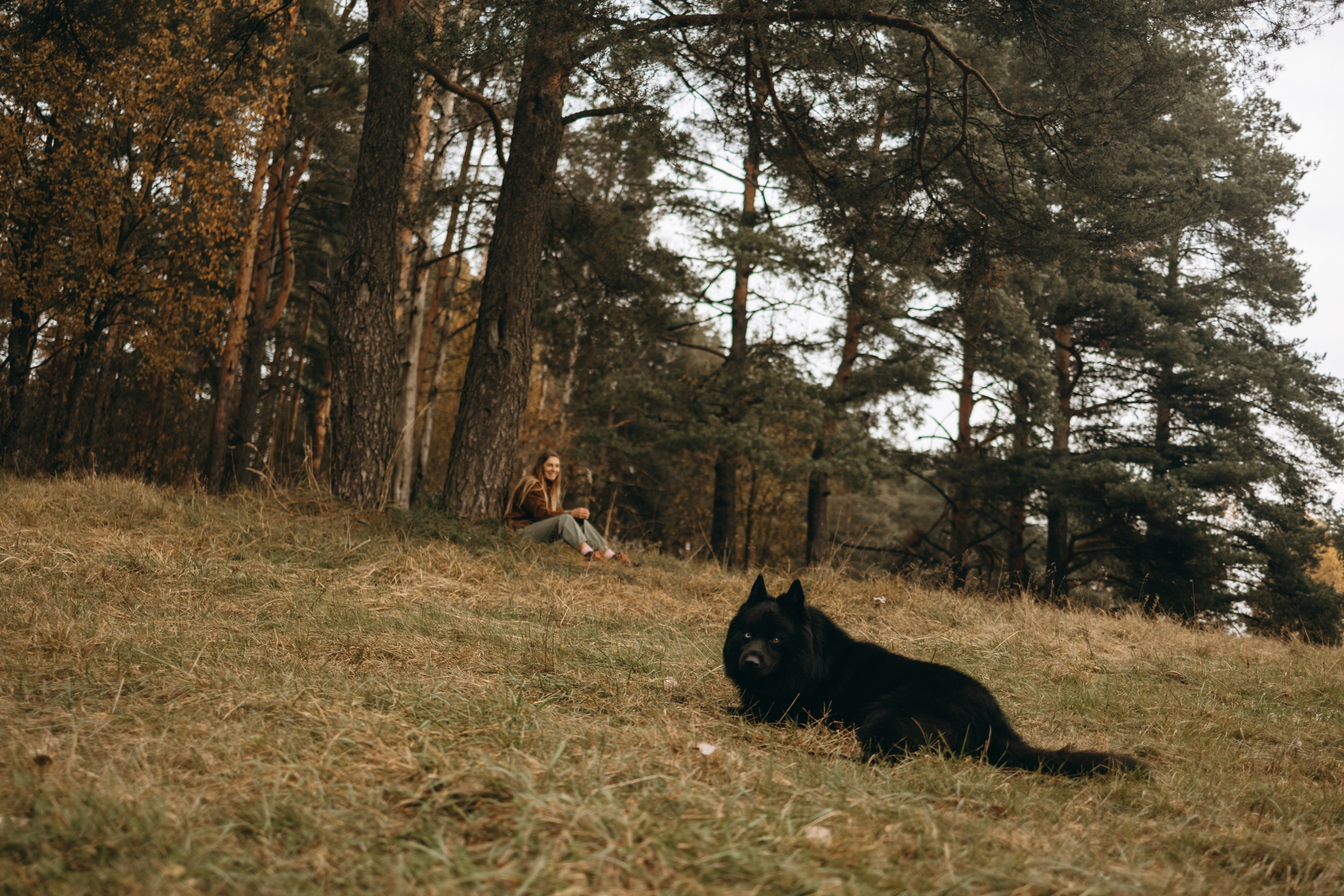 Лора и Джанго. Фотограф — Анималист | Санкт-Петербург