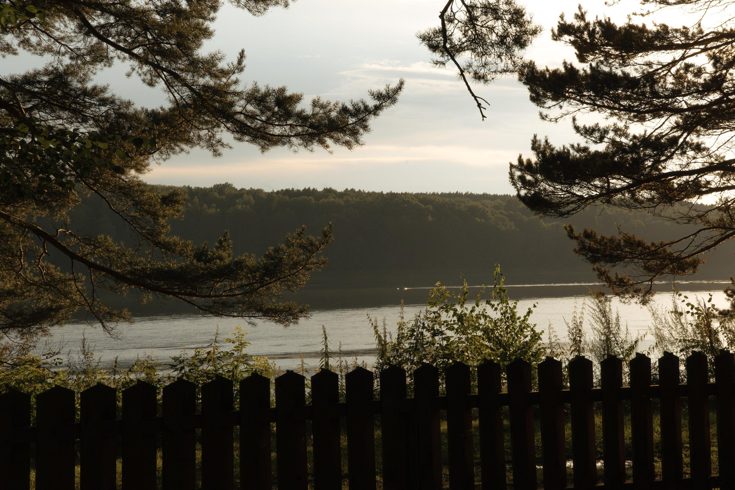 Банкетная съемка. Фотограф Костенко Полина