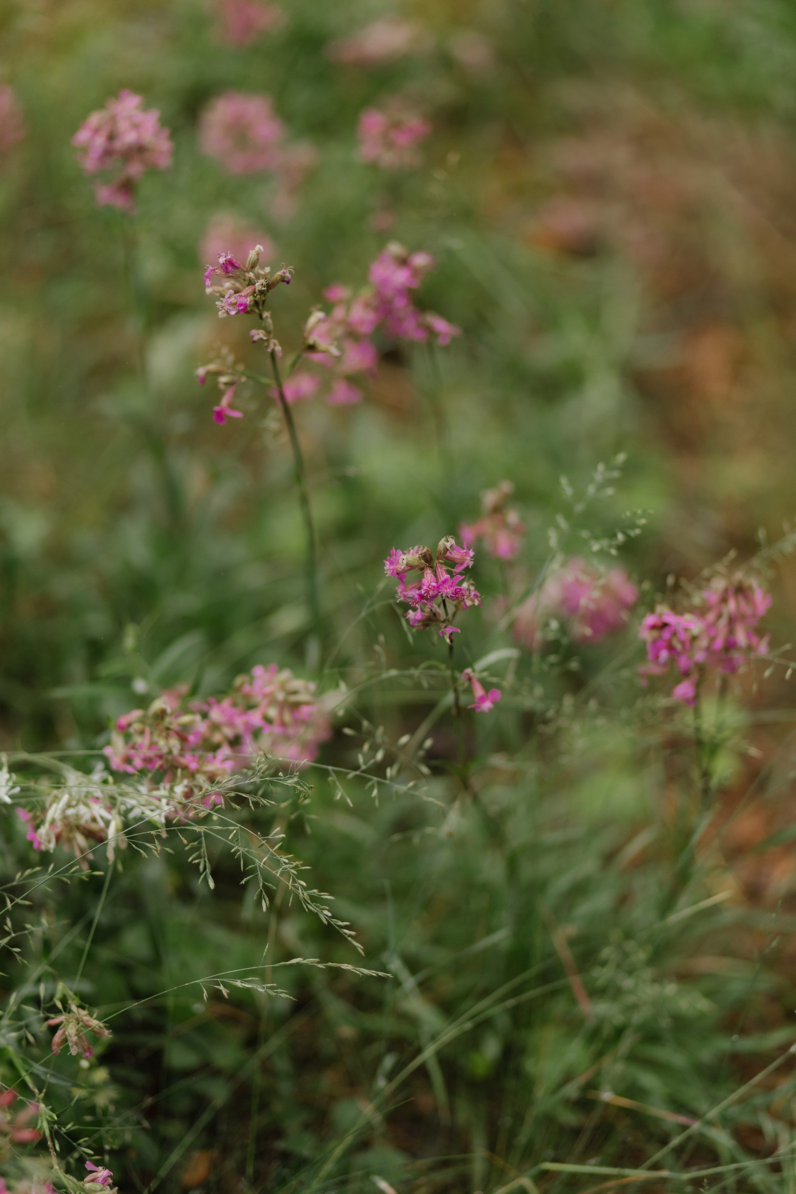 Алексей и Елена. Профессиональная видео и фото съёмка в Калуге и области