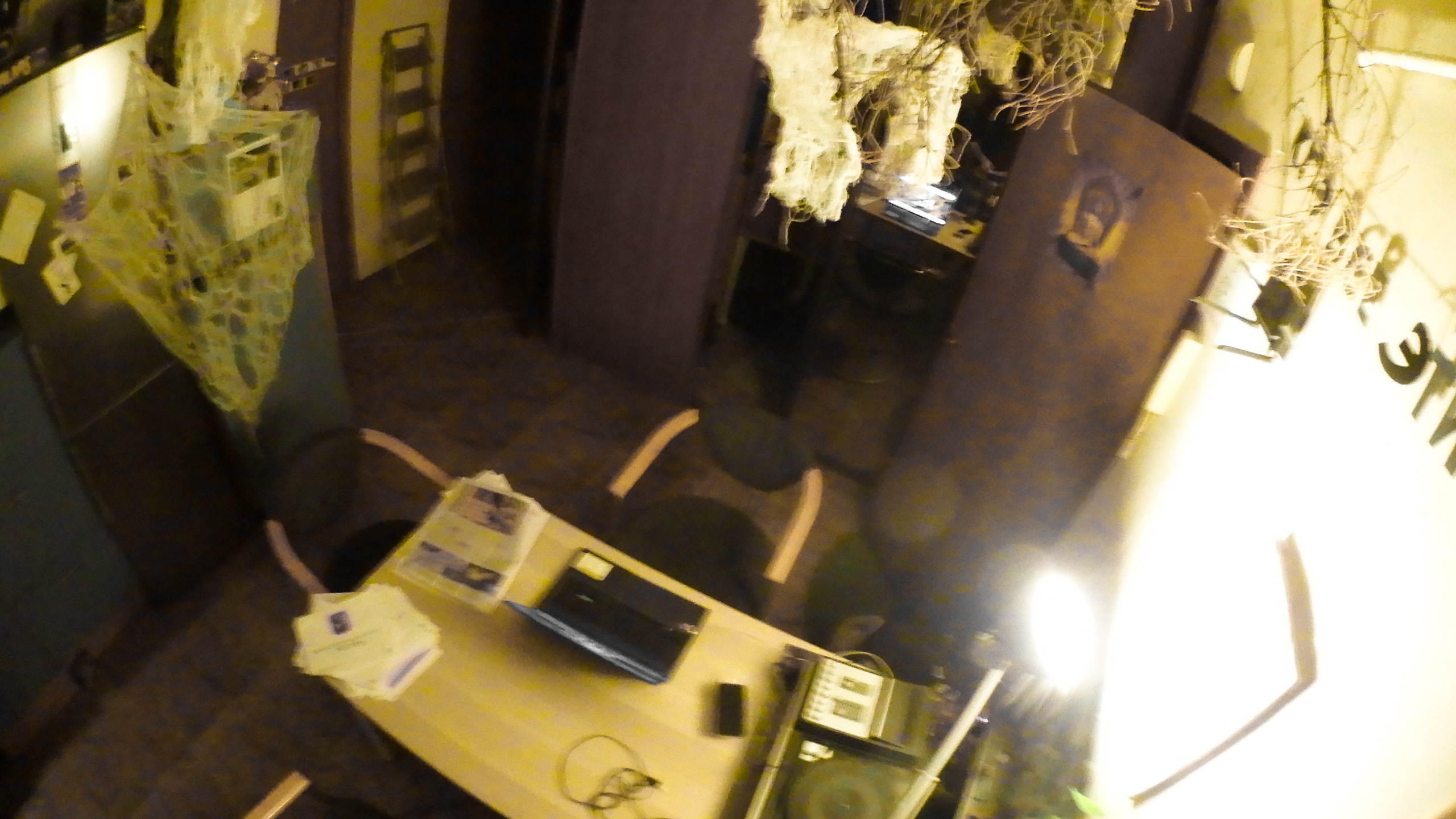 Гости. Fedor Kalinin