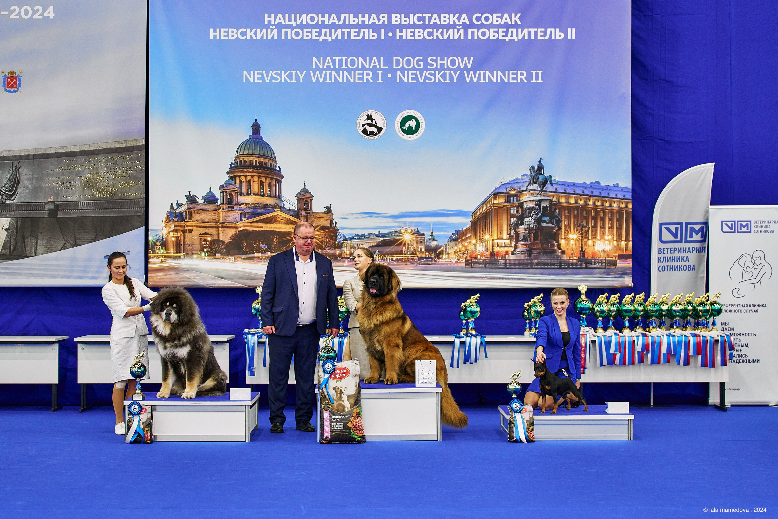 РЕЙТИНГОВАЯ ВЫСТАВКА СОБАК ВСЕХ ПОРОД С ОСОБЫМ СТАТУСОМ"НЕВСКИЙ ПОБЕДИТЕЛЬ-2024-1"