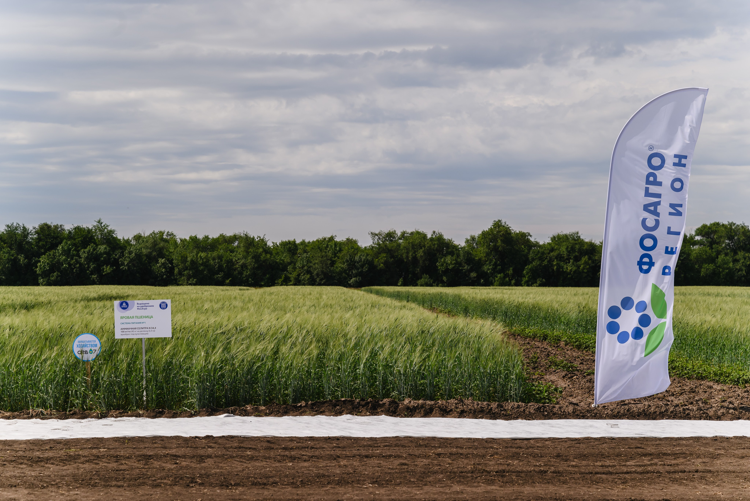 ФосАгро. День поля