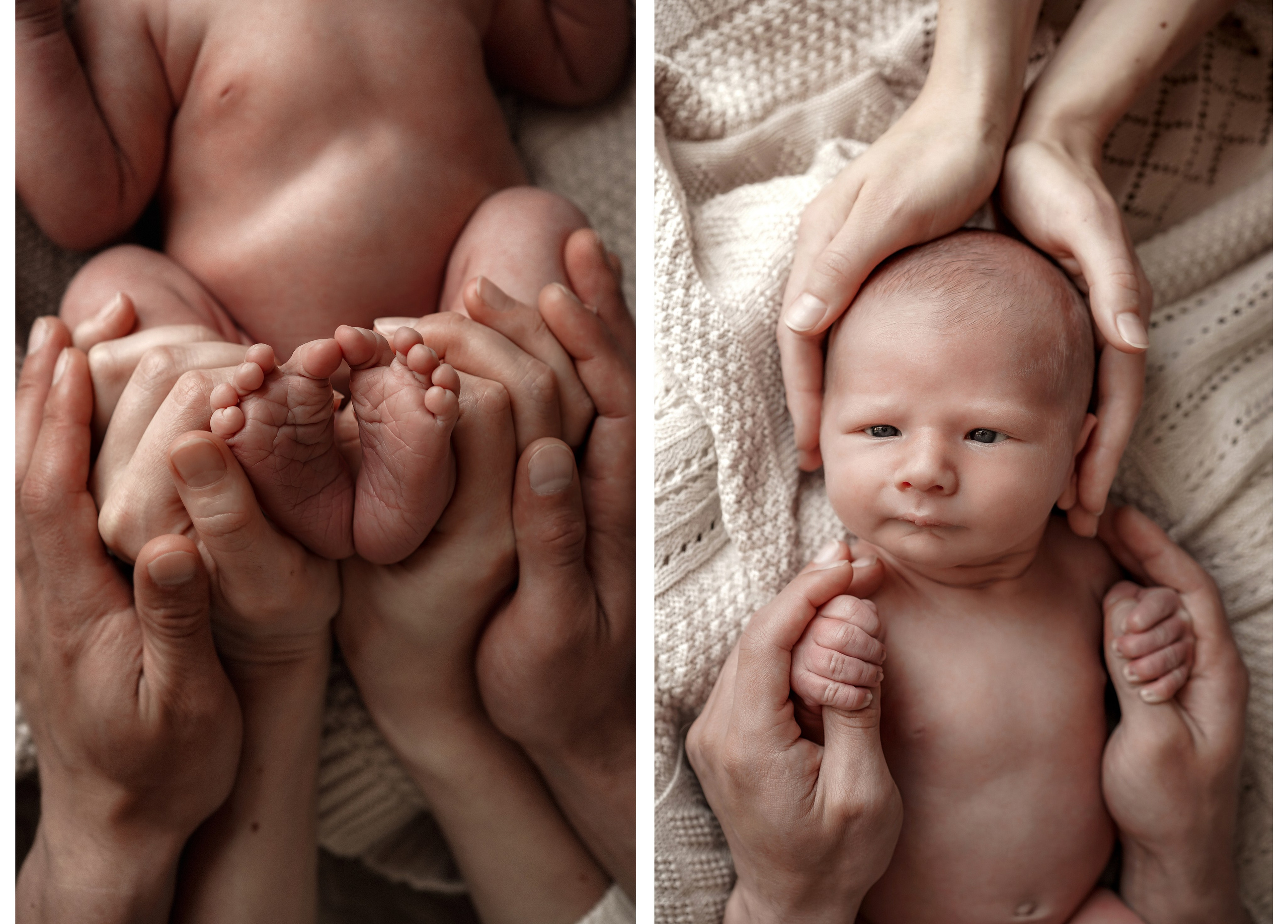 ФОТОГРАФ НОВОРОЖДЕННЫХ В СИМФЕРОПОЛЕ И ПО КРЫМУ