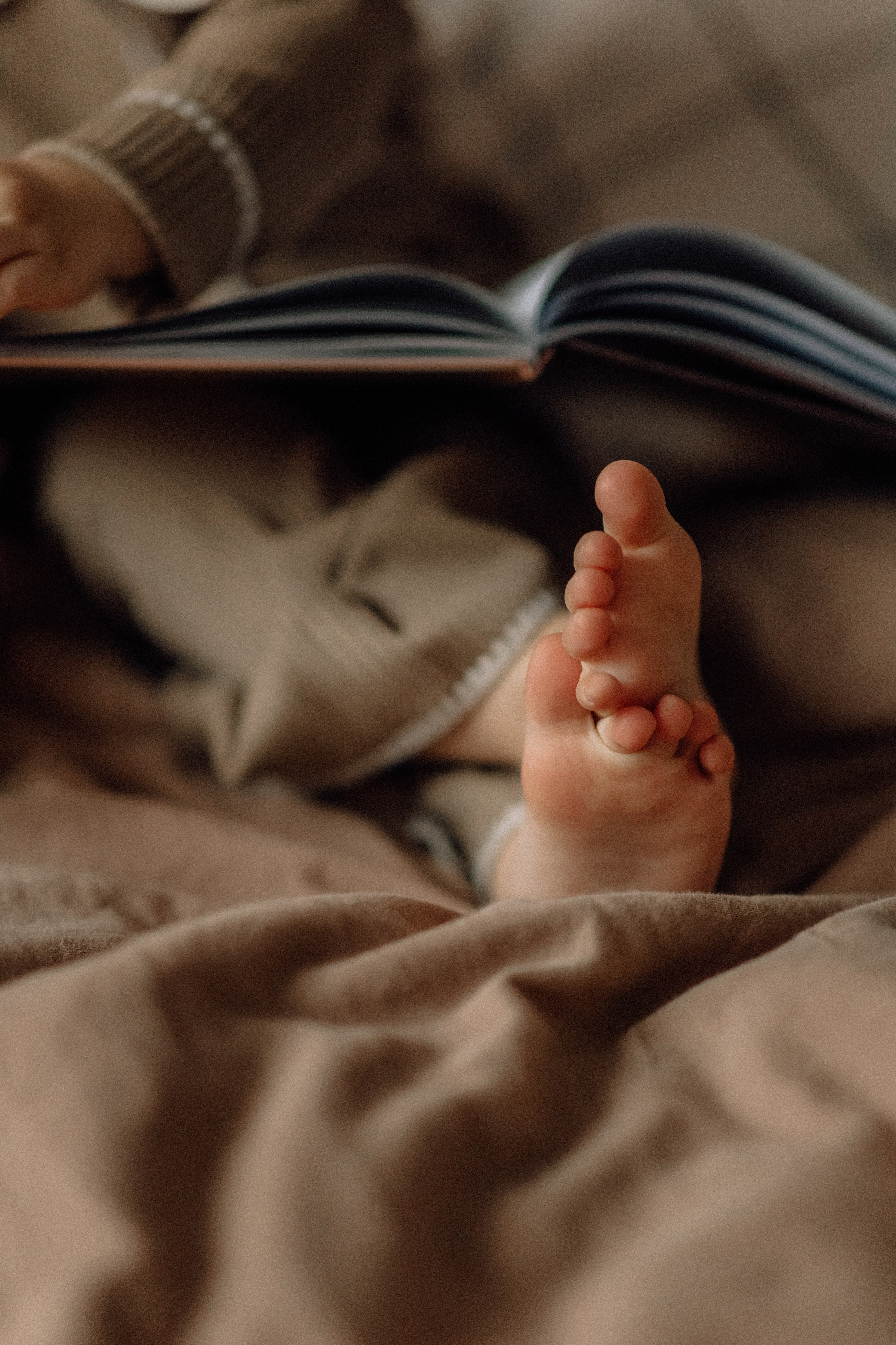 Яблочный пирог