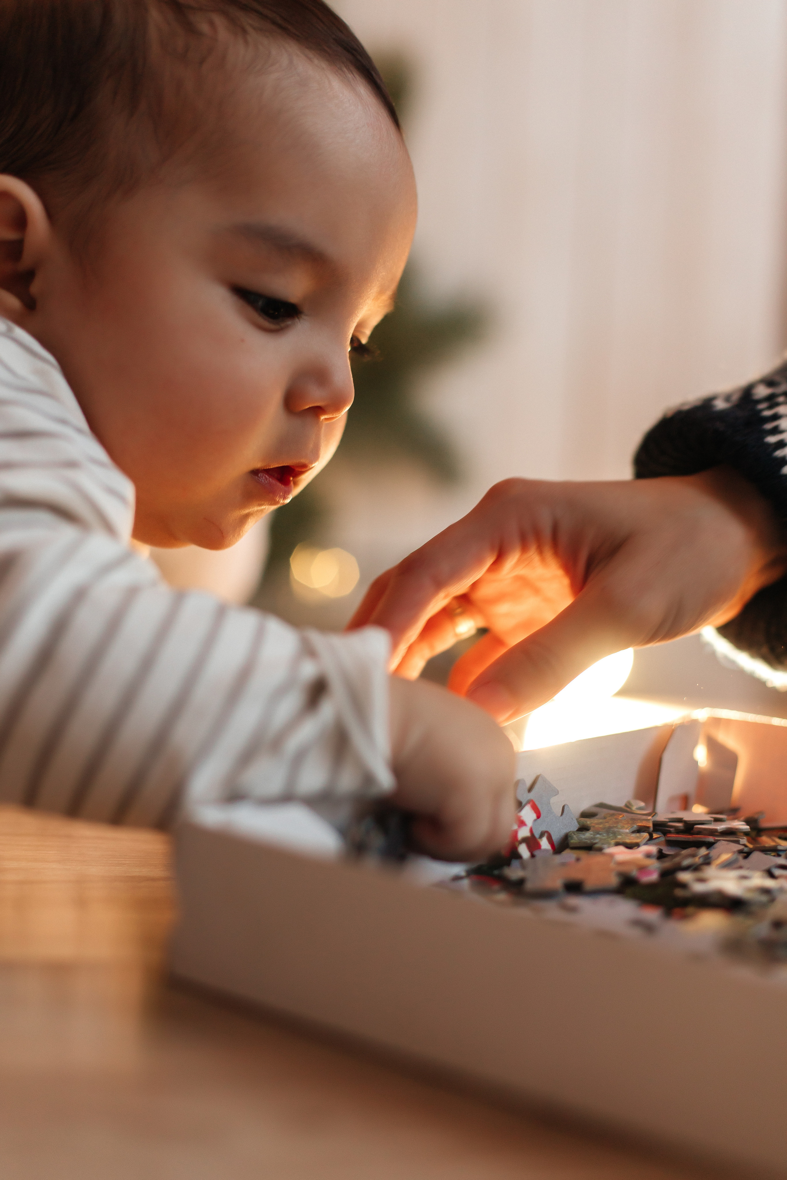 Маленькое новогоднее чудо. Фотограф Сочи, Екатеринбург, Евгения Ефимова