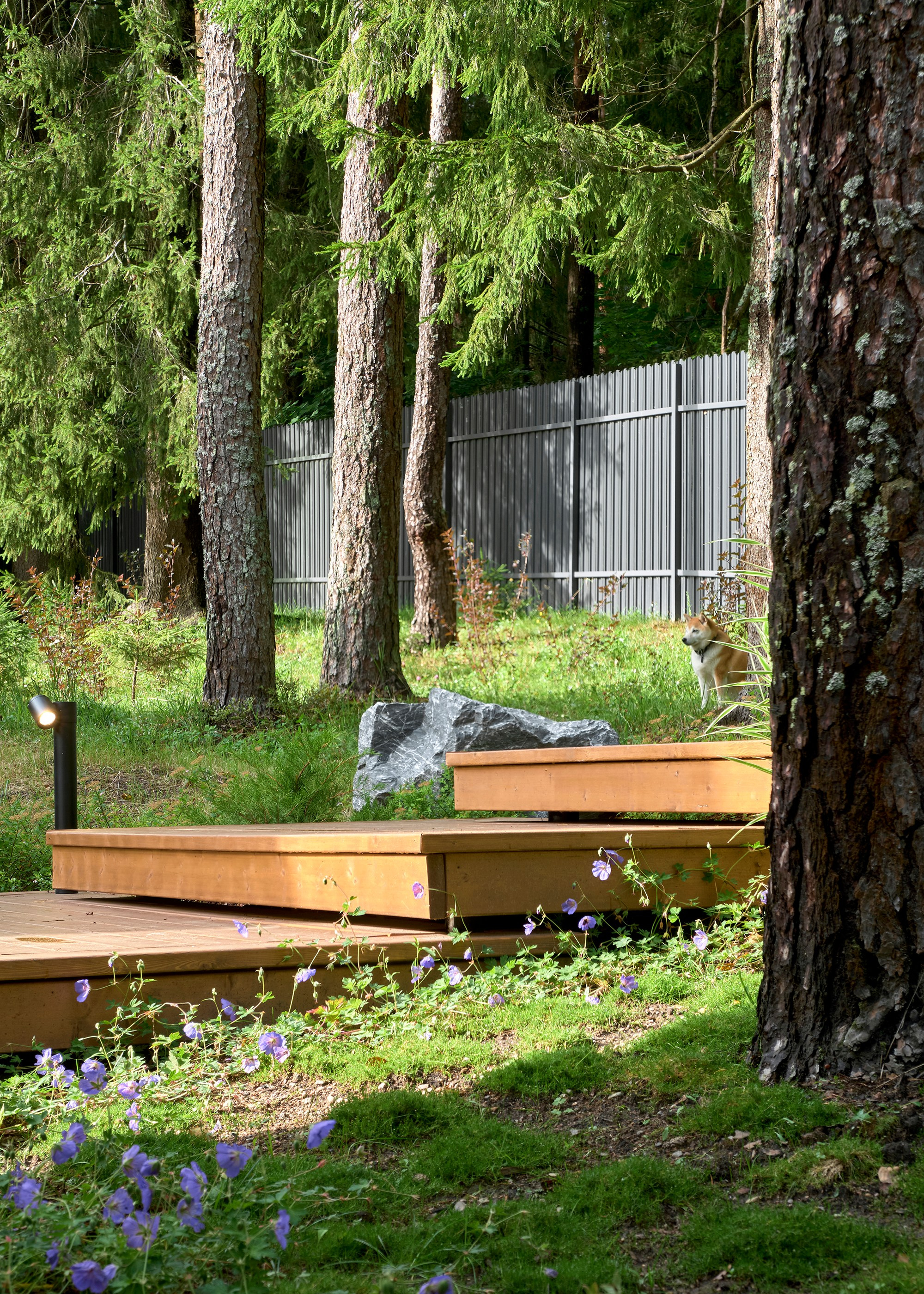 Фотосъемка реализованного проекта частного сада в Заполье для ландшафтной студии Хвоя. Фотограф Наталья Соловьева