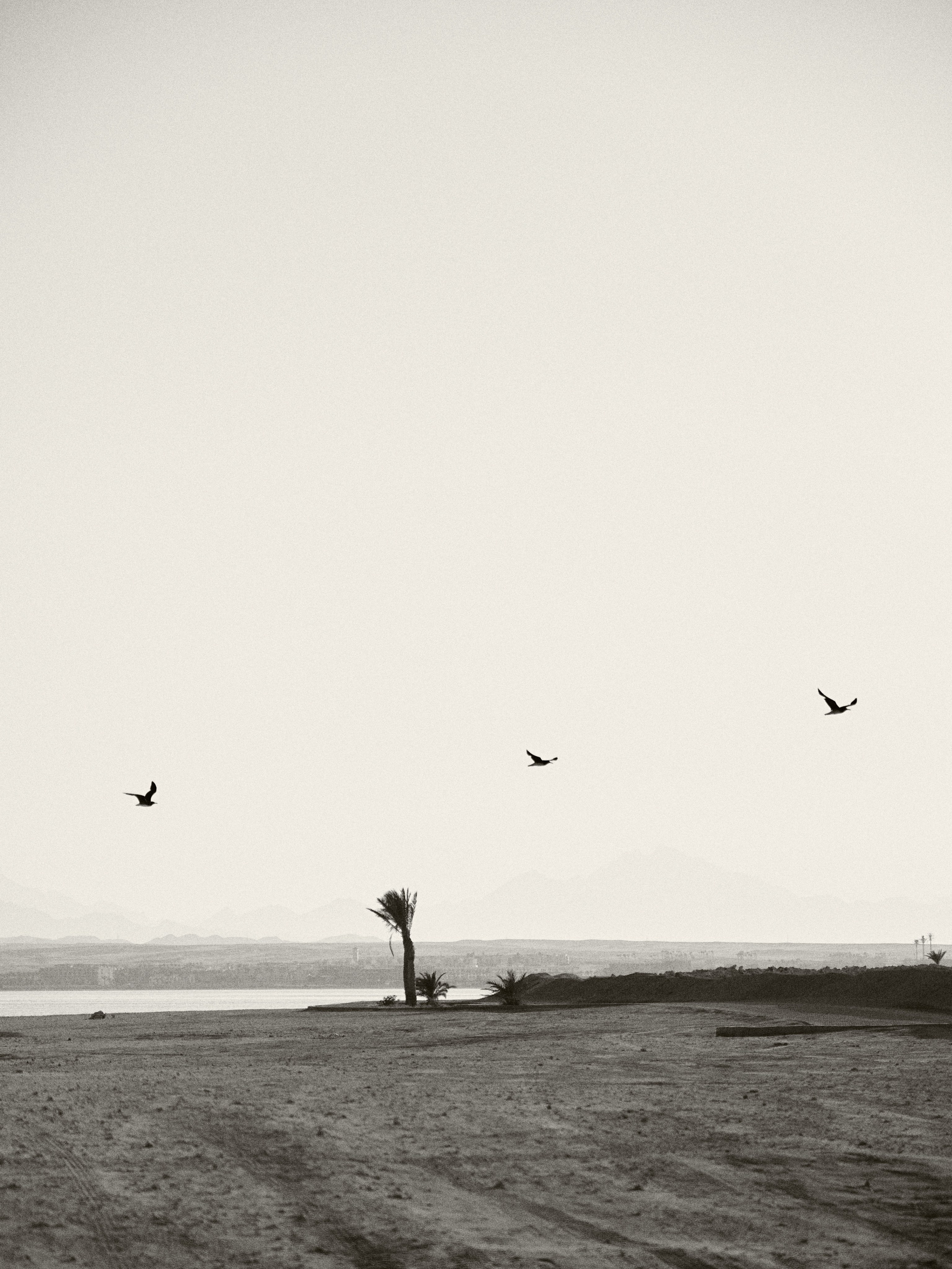 B&W. Jorgis — фотограф в Хургаде / обучение фотографии