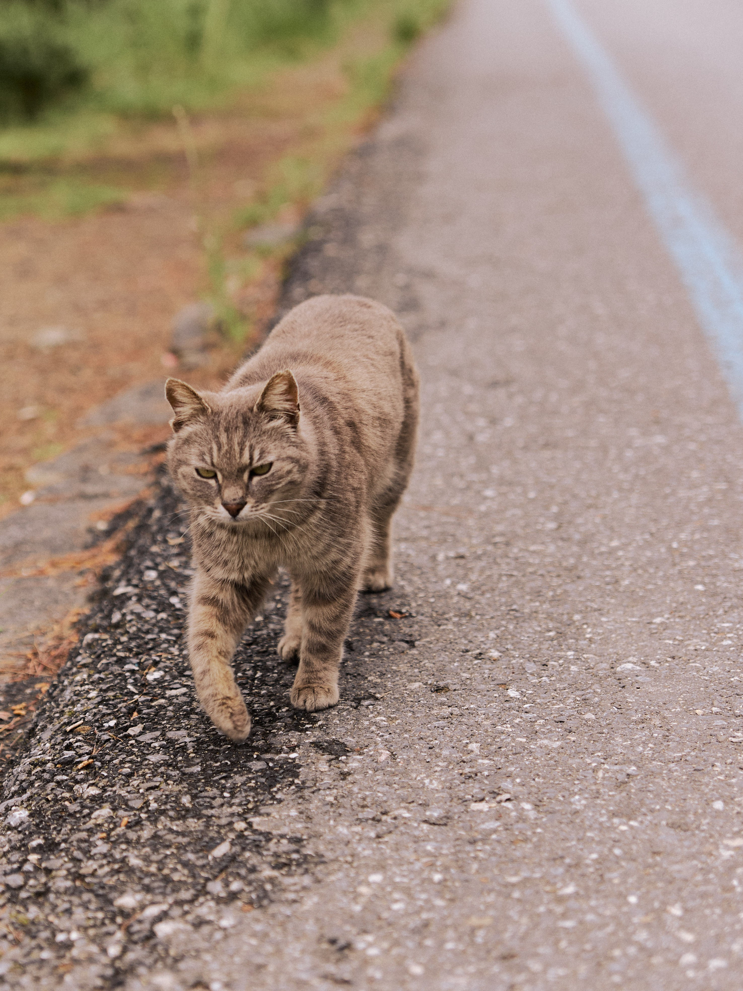 Другое 2. Jorgis Talè — photographer, kind person, teacher of arts and other mag