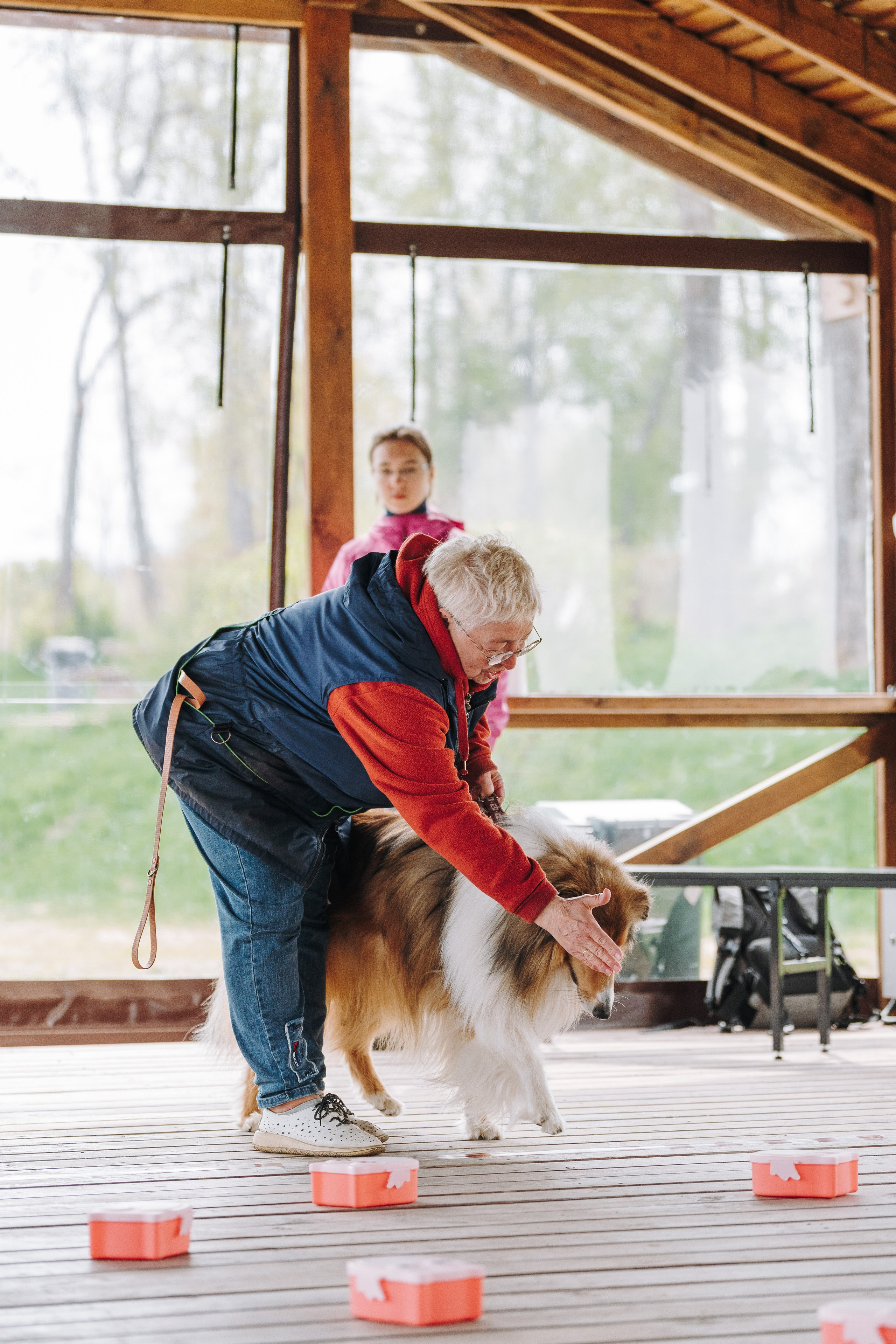 Соревнования по ноузворку в Лосево. Фотограф анималист в Спб недорого Олеся Майорова