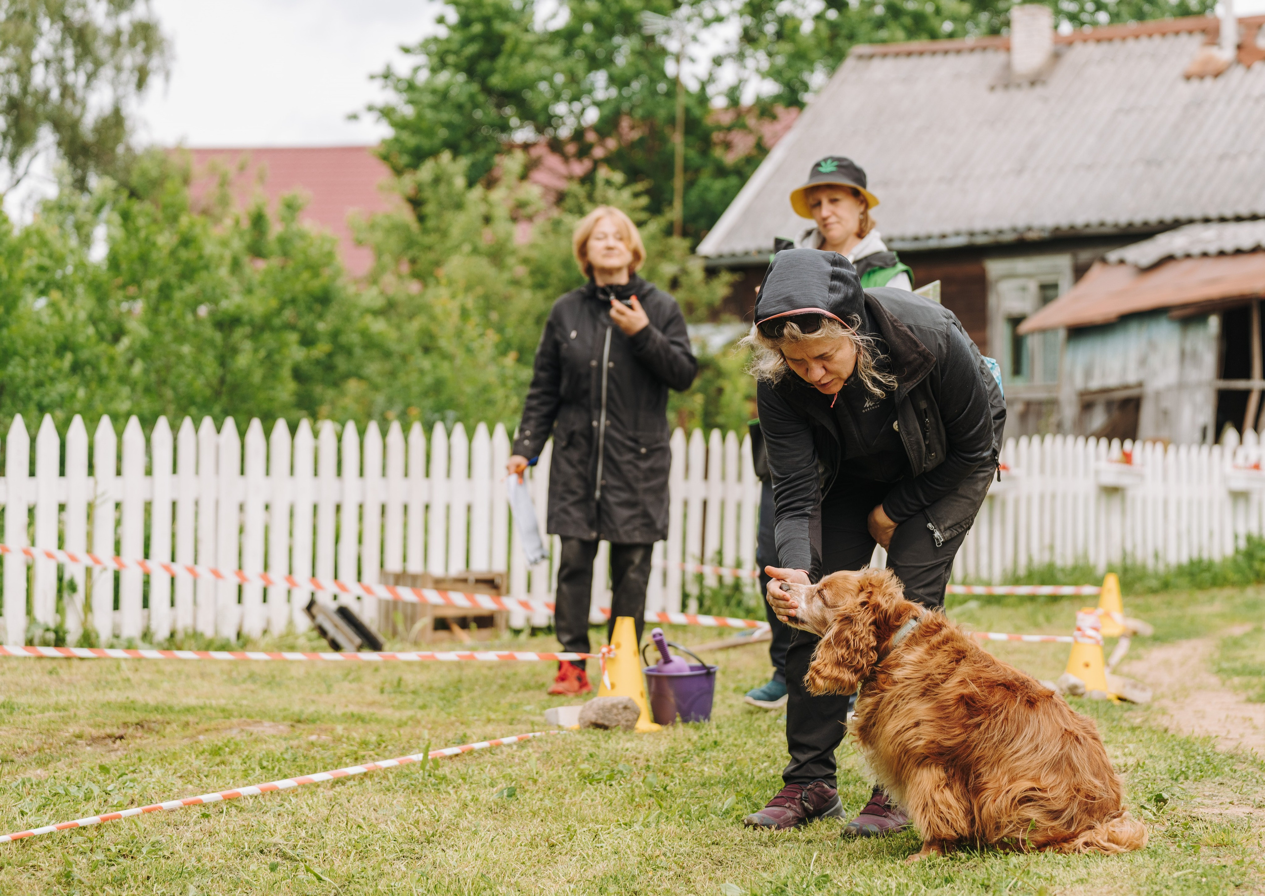 Соревнования по ноузворку. Фотограф анималист в Спб недорого Олеся Майорова