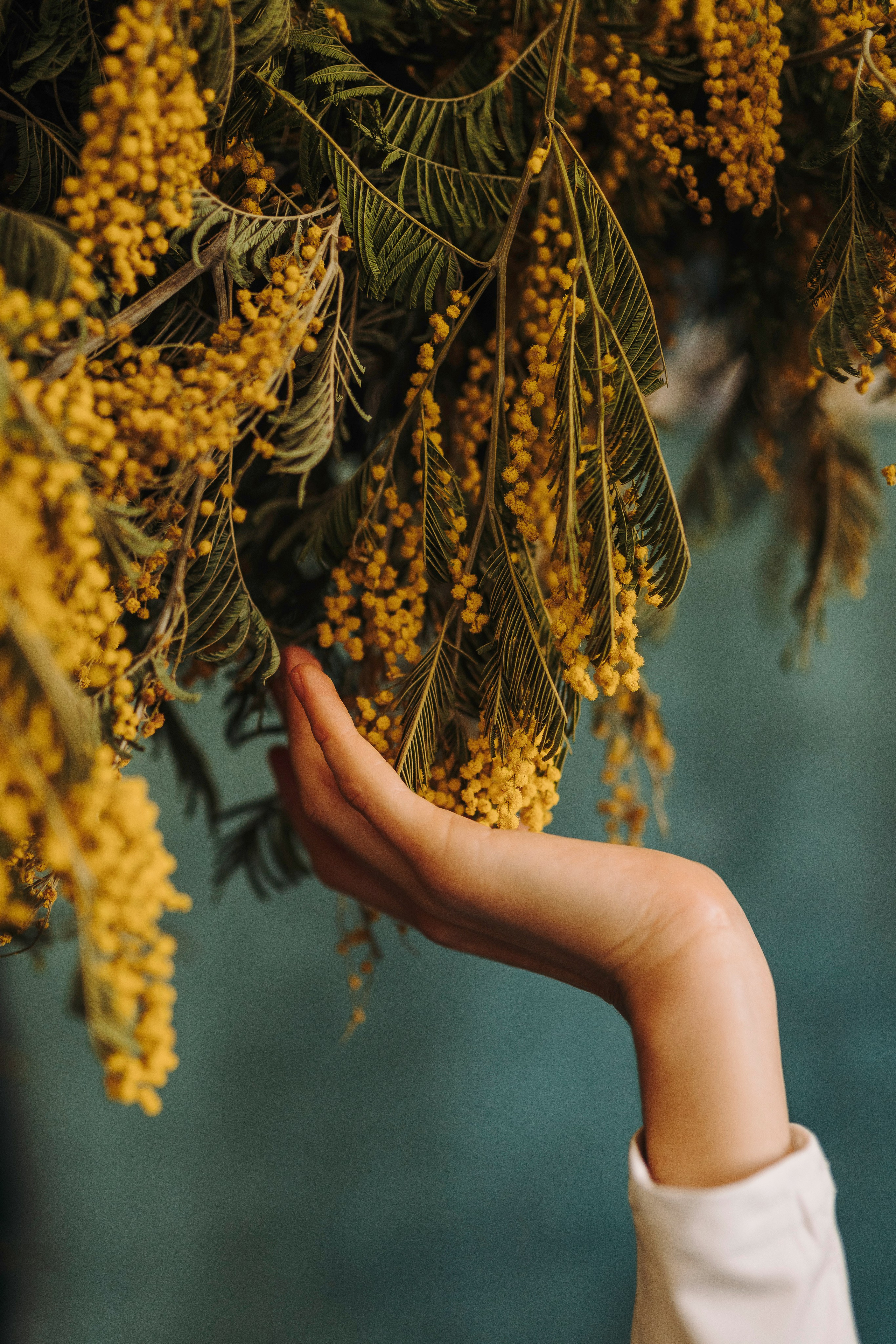 Маша и Рамси. Фотограф анималист в Спб недорого Олеся Майорова