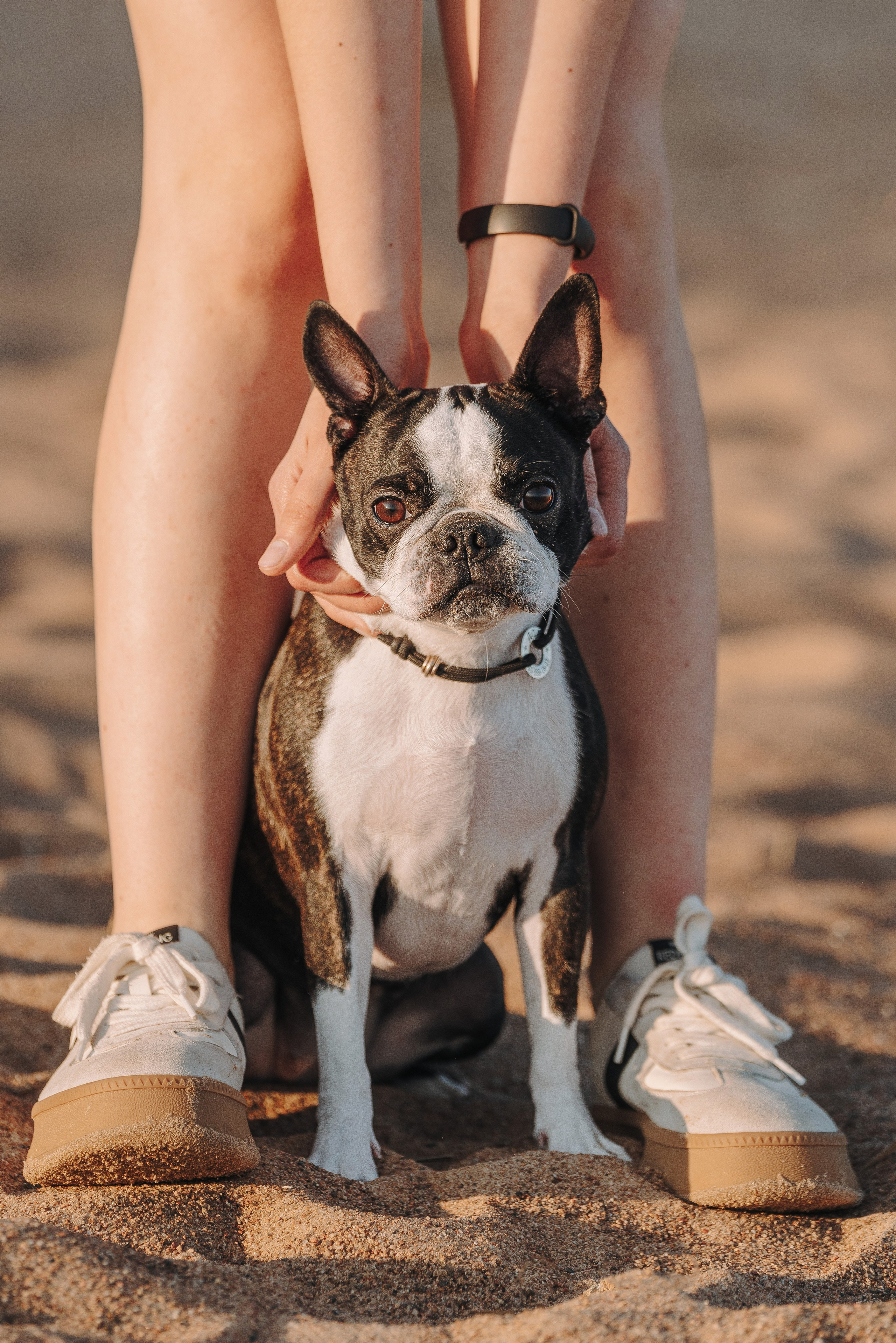Анаита и Дора. Фотограф анималист в Спб недорого Олеся Майорова