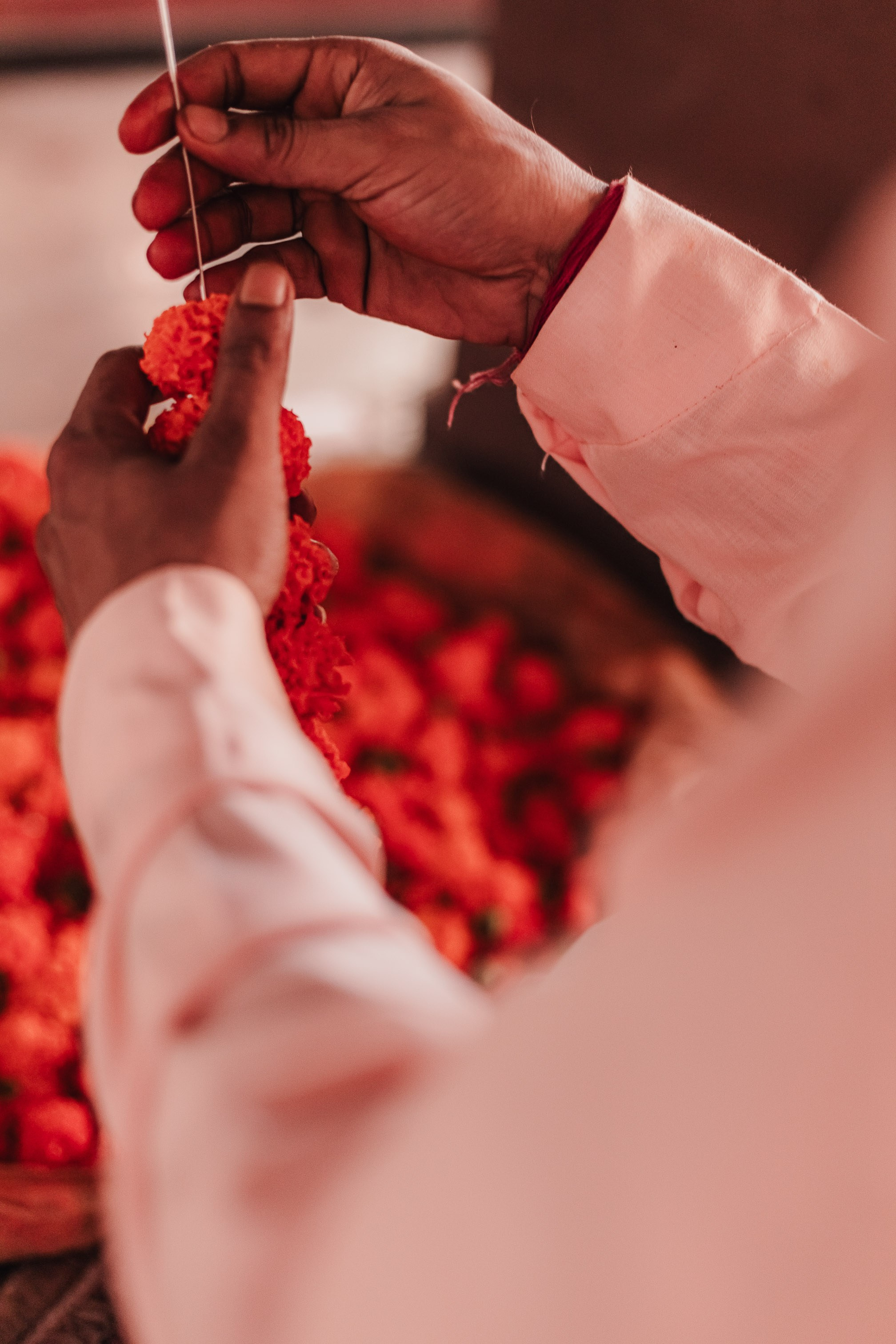 Lakshmi pooja in India. Mariam Bagdasaryan