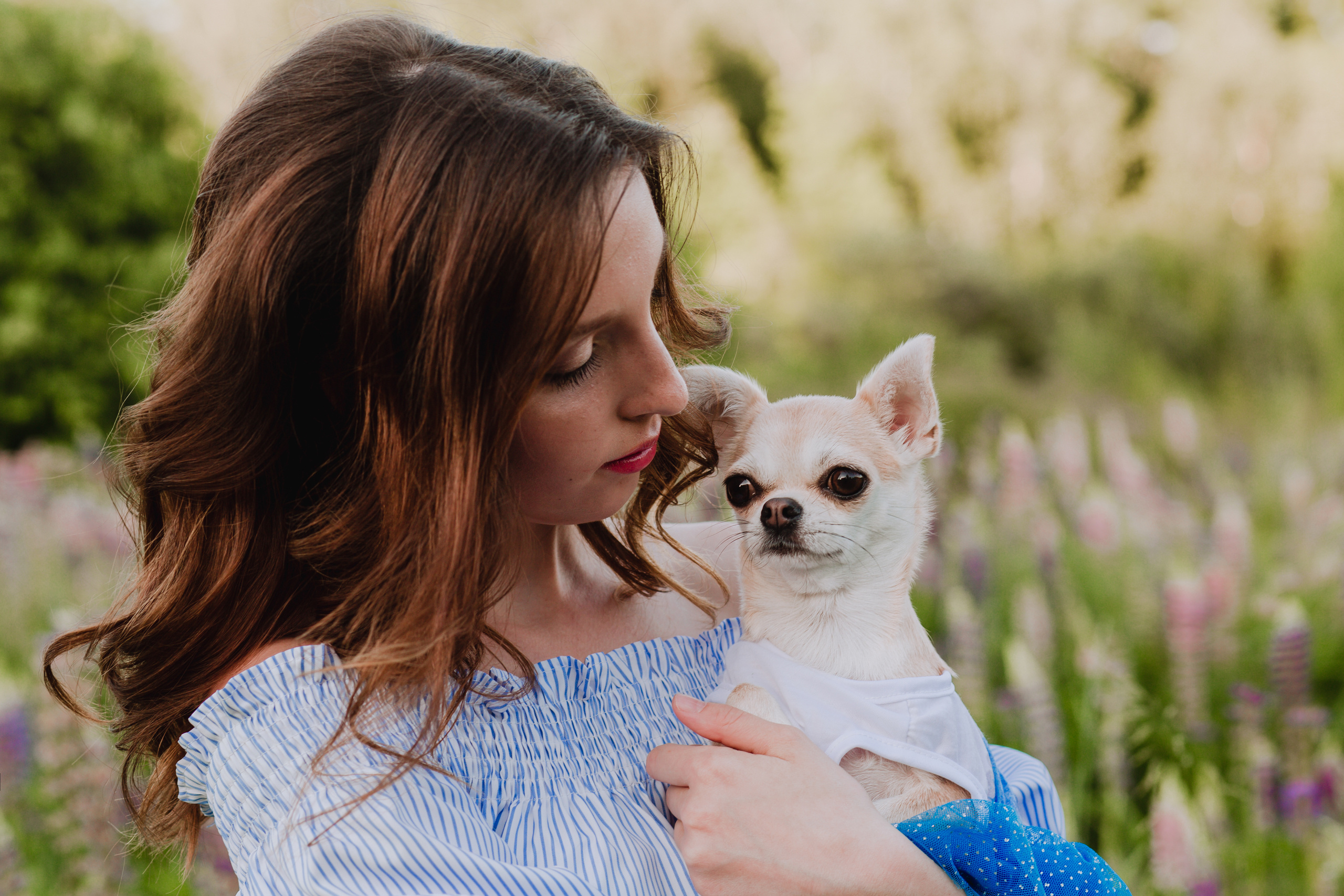 Люпиновое море :). Семейный и свадебный фотограф в Воронеже Майя Добровольская
