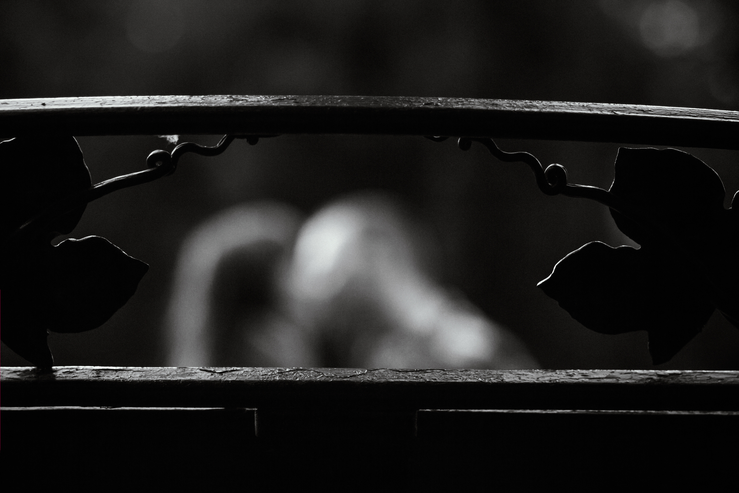 Я загадала тебя, и ты сбылся…. Семейный и свадебный фотограф в Воронеже Майя Добровольская