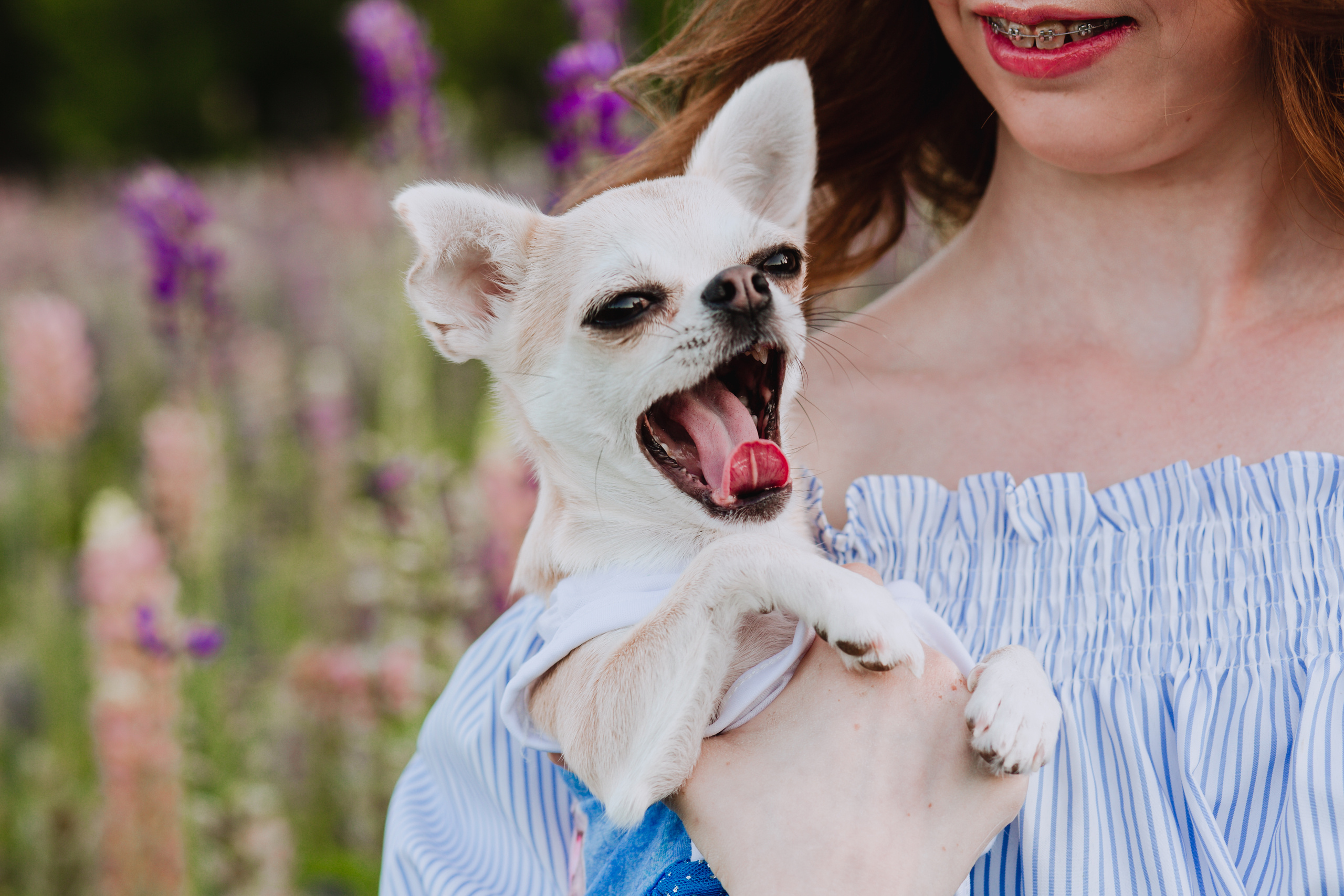 Люпиновое море :). Семейный и свадебный фотограф в Воронеже Майя Добровольская