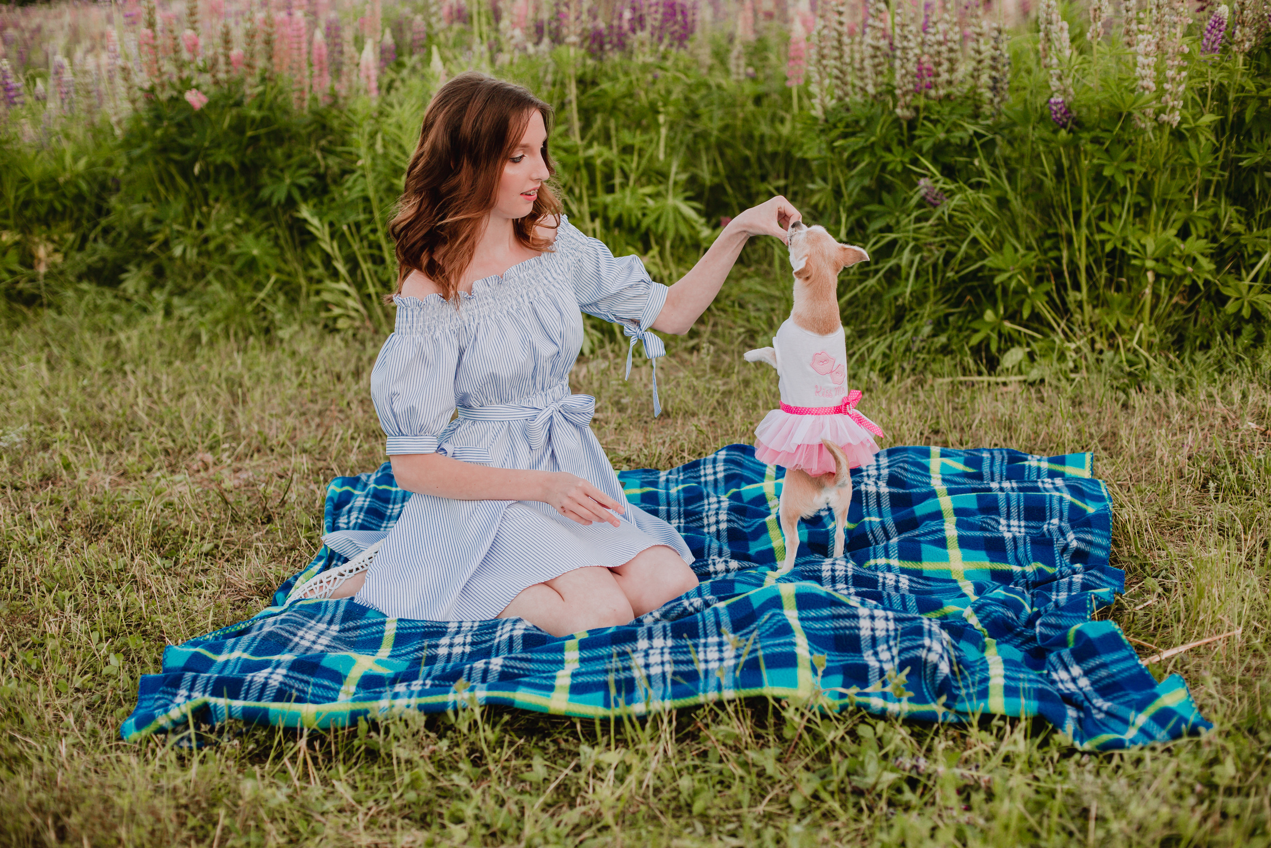 Люпиновое море :). Семейный и свадебный фотограф в Воронеже Майя Добровольская