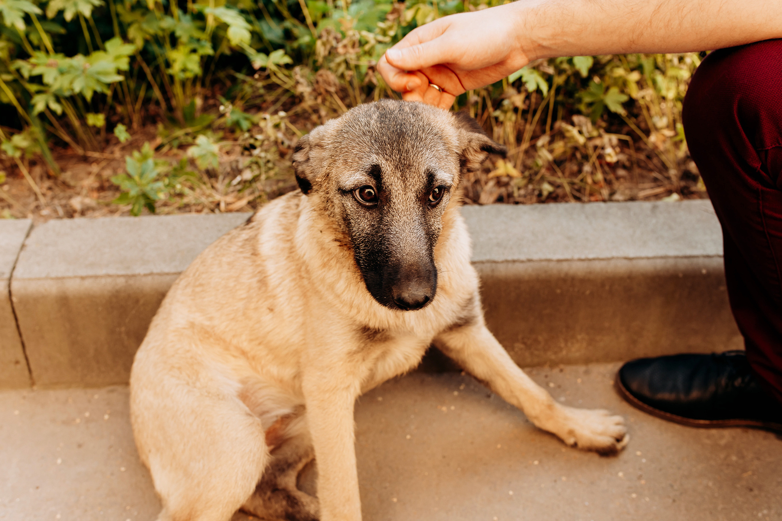 Магия момента…. Семейный и свадебный фотограф в Воронеже Майя Добровольская