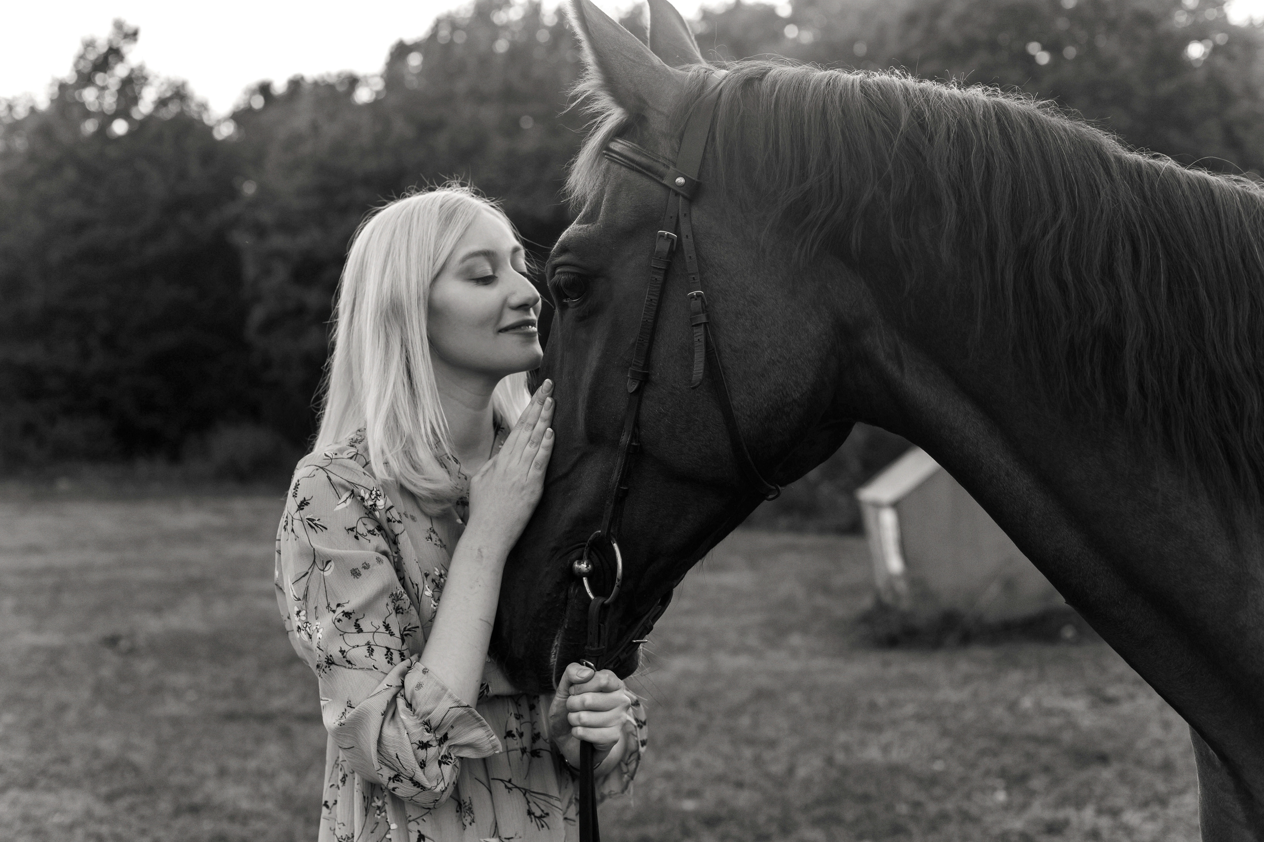 Полина (диалоги с лошадью). Семейный и свадебный фотограф в Воронеже Майя Добровольская
