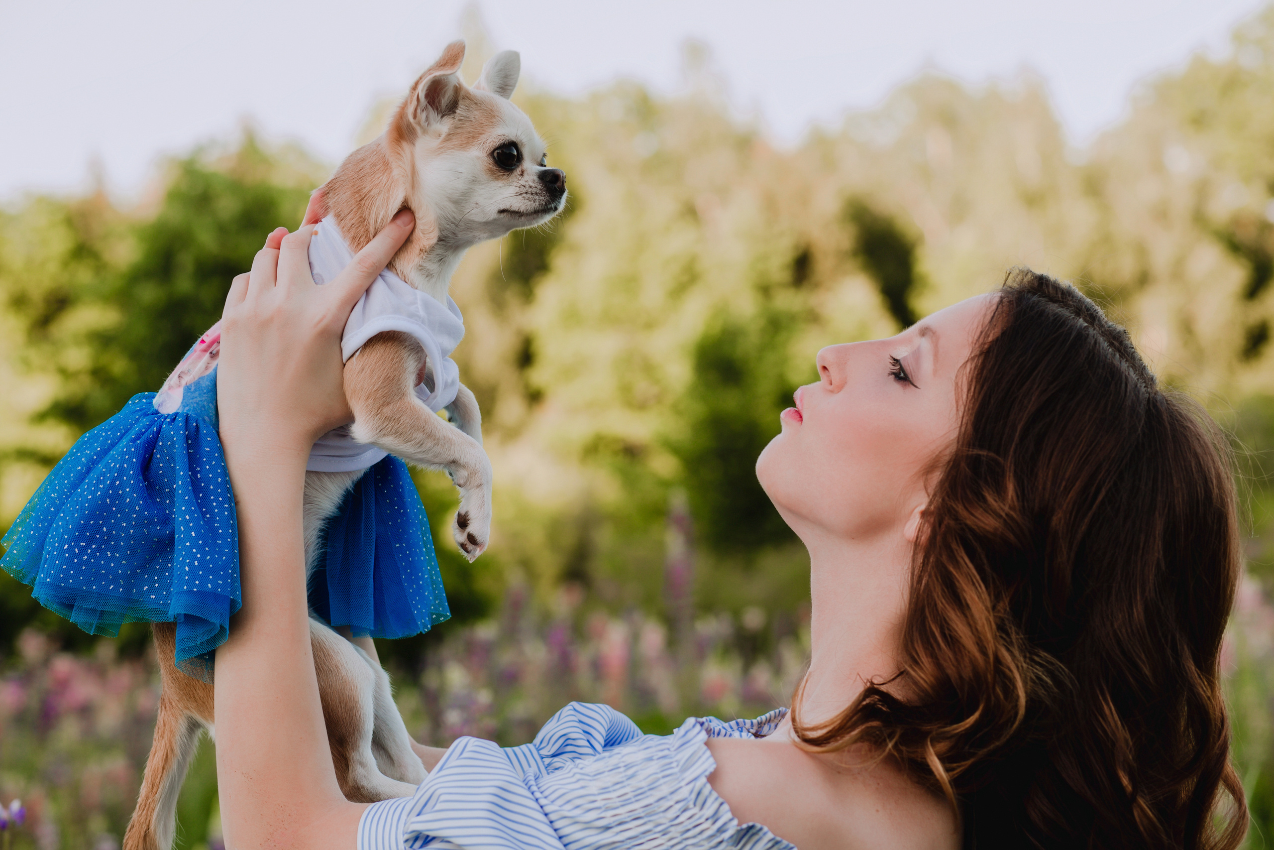 Люпиновое море :). Семейный и свадебный фотограф в Воронеже Майя Добровольская