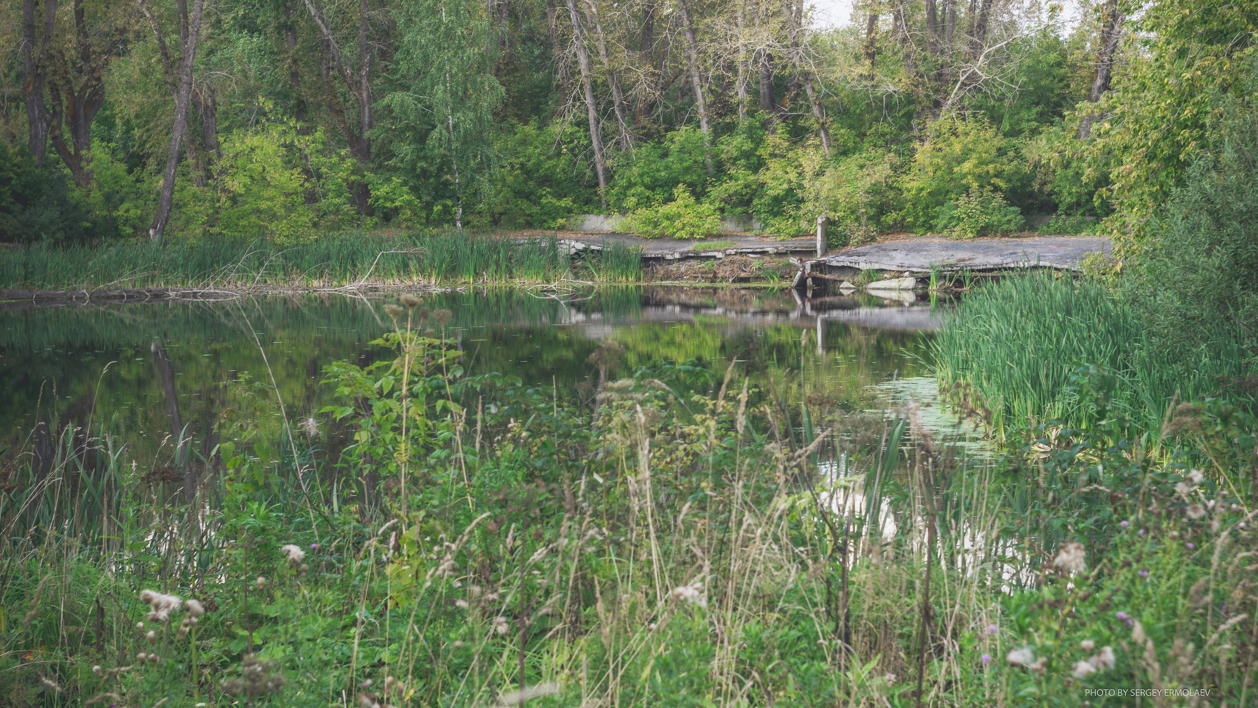 На тропах старинного парка