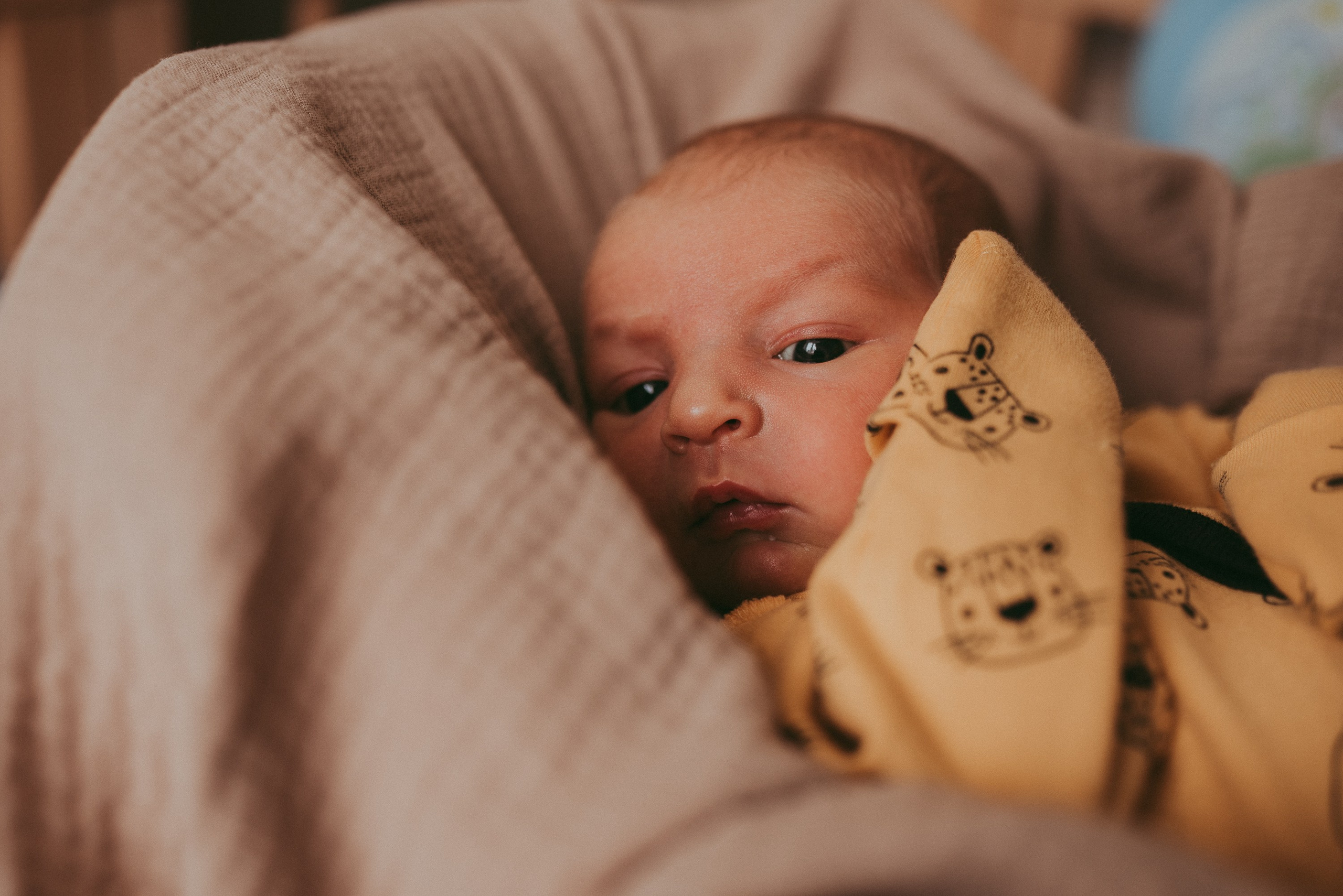Маленький космос. Семейный и детский фотограф в Новосибирске и Краснообске — Анна Ким