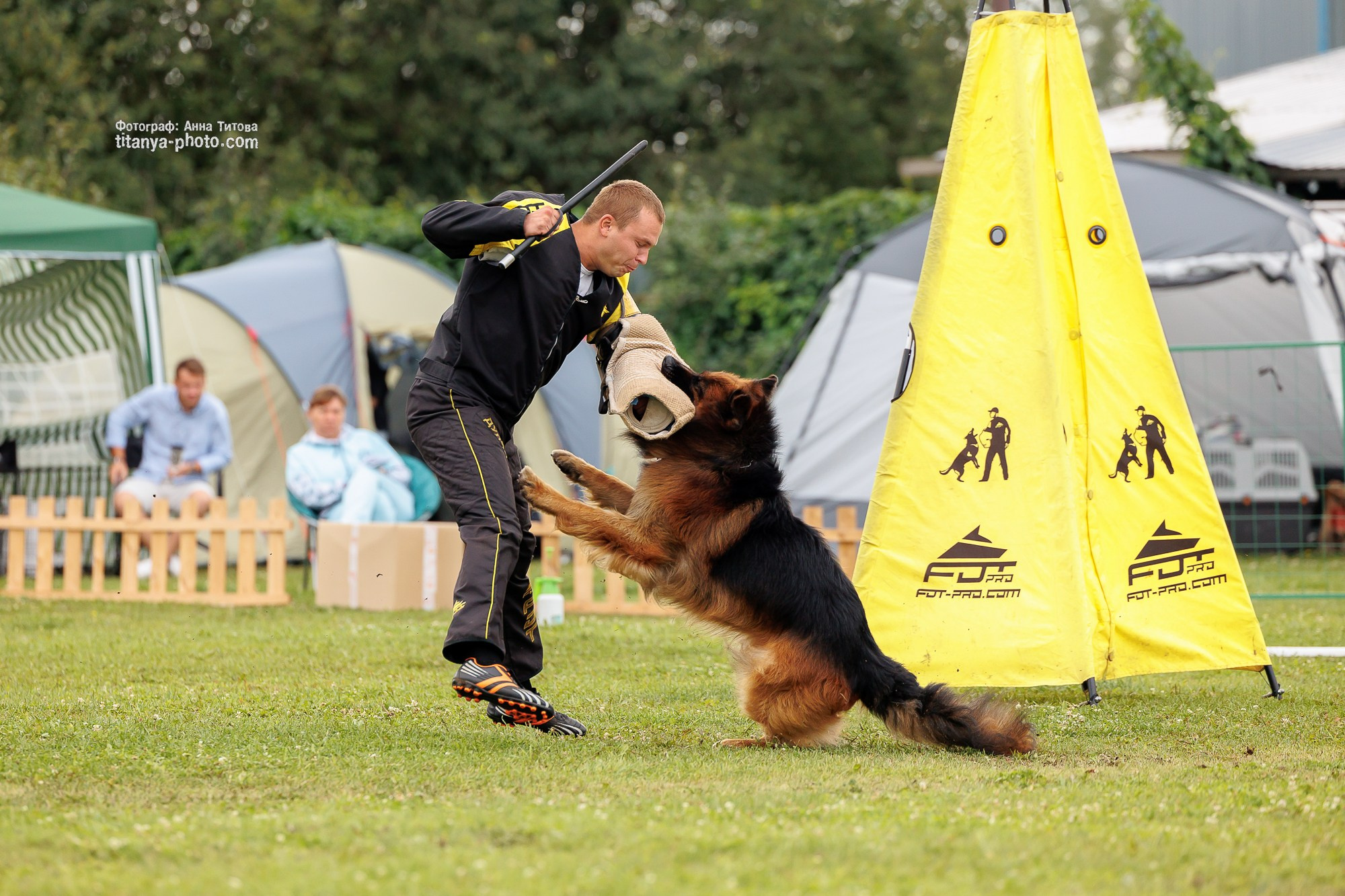 Немецкие овчарки: фото из рингов и вне ринга, мутпроба (фотографии с выставок). Фотограф собак, фотограф-анималист Аня Титова (Titanya). Москва