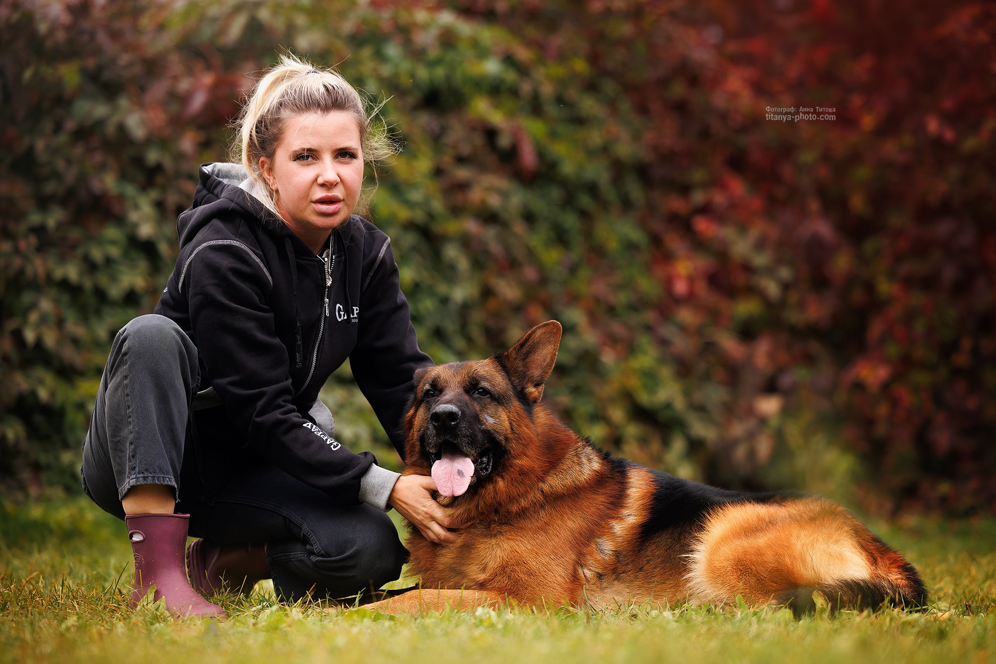 Rubio vom Grafenbrunn. Фотограф собак, фотограф-анималист Аня Титова (Titanya). Москва