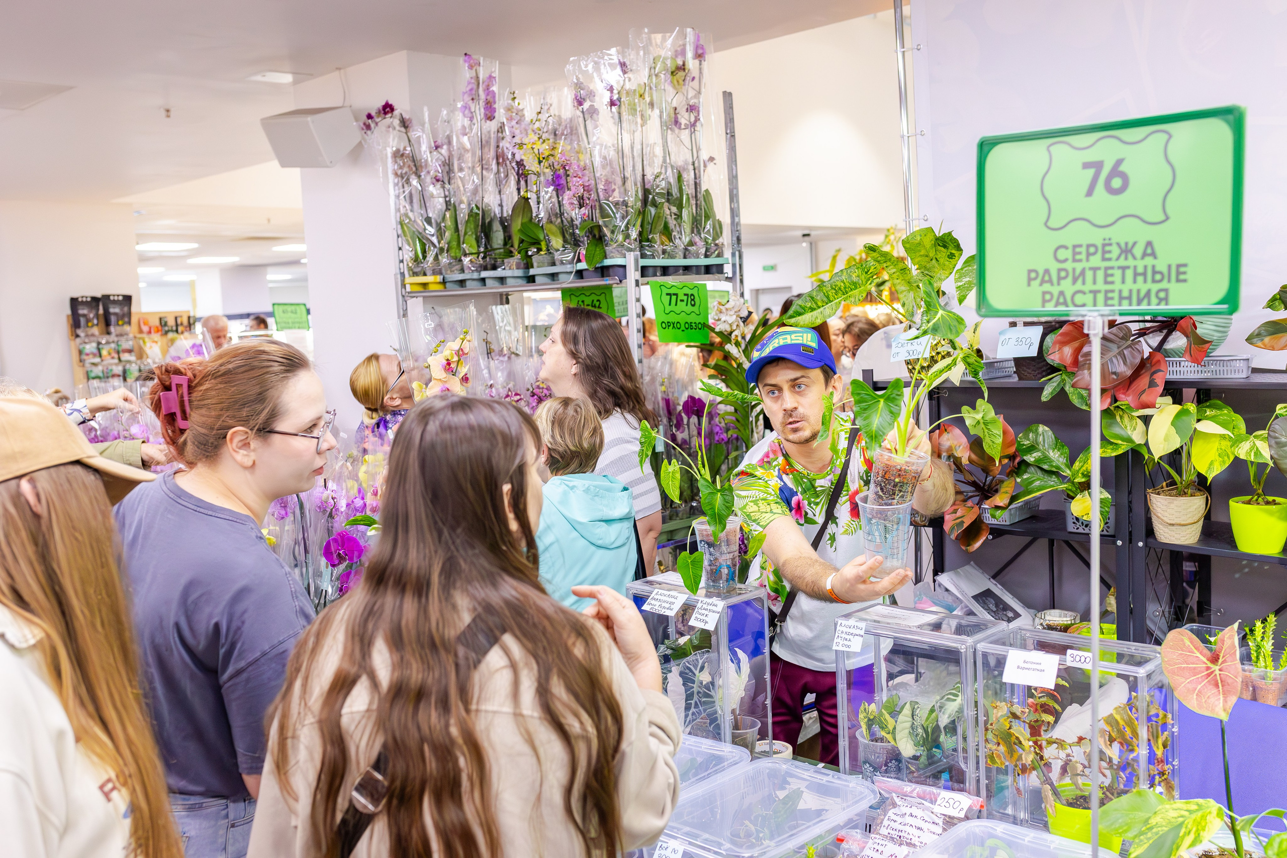 Орхидиум сентябрь 2025. Александра Куликова фотограф, Москва