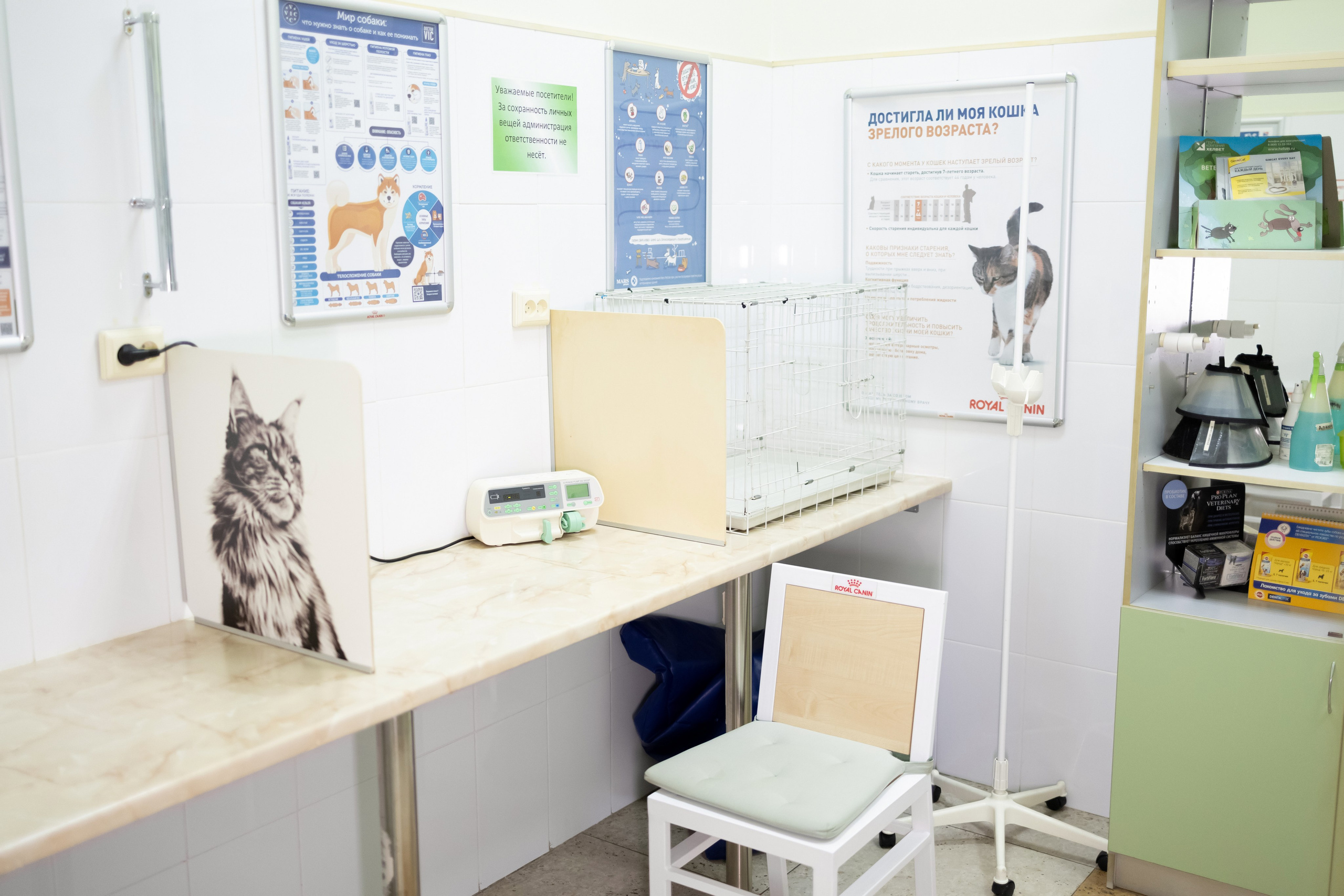 Ветеринарная клиника