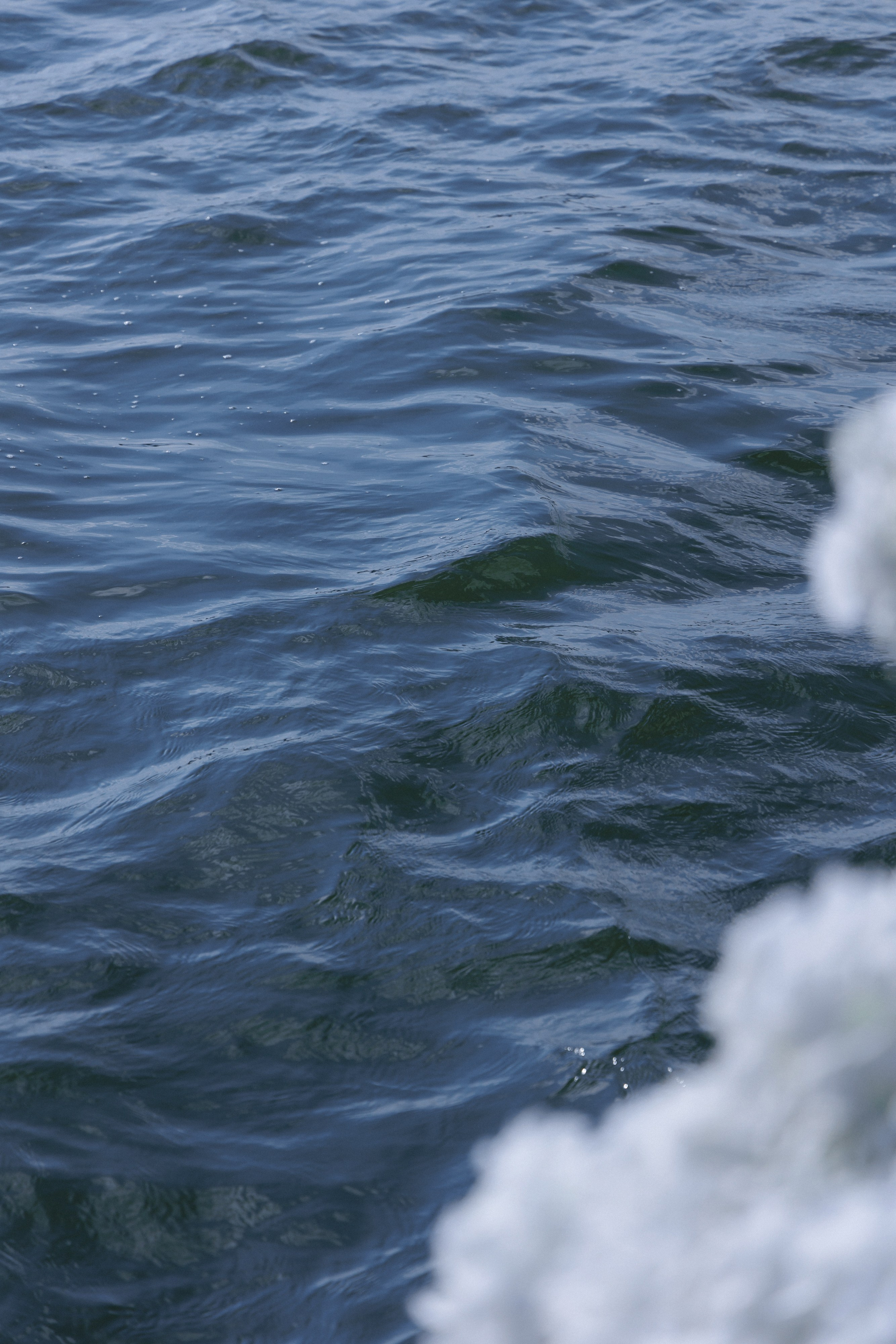 Катя & Никита. Свадебный и семейный фотограф Татьяна Селезнева