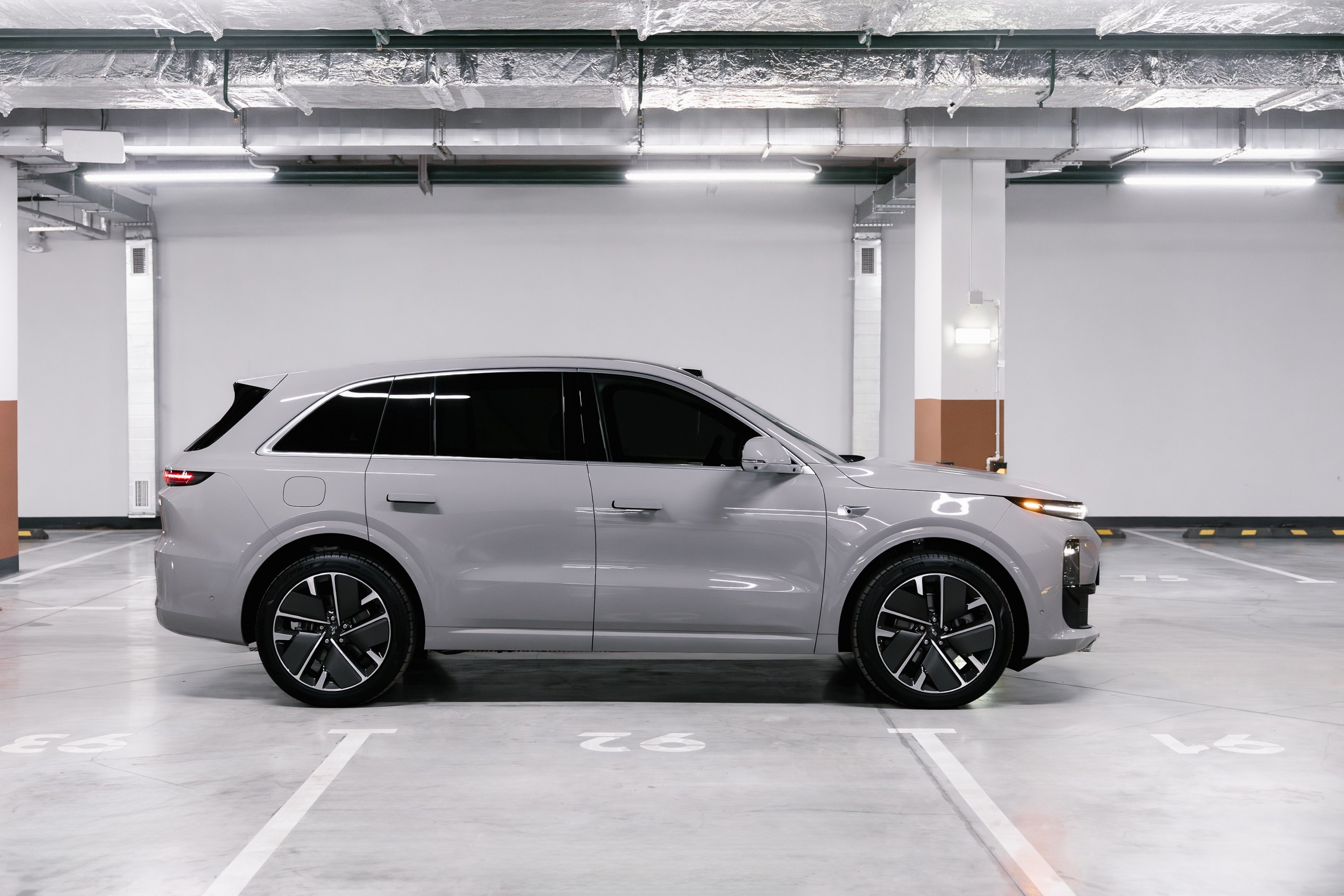 Li L6. Эстетика Sveta