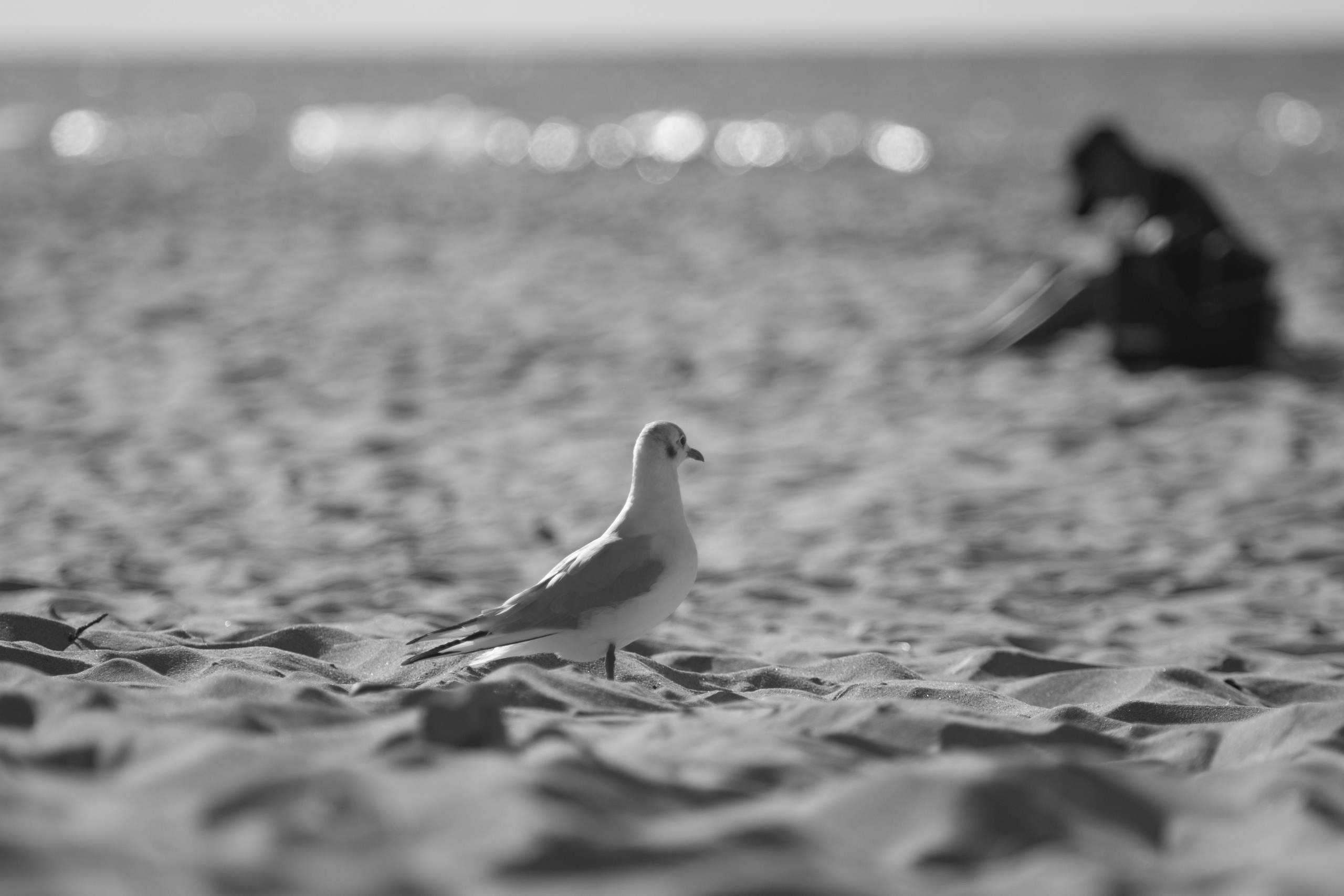 ЧБ. Фотограф в Москве — Георгий Чернышов