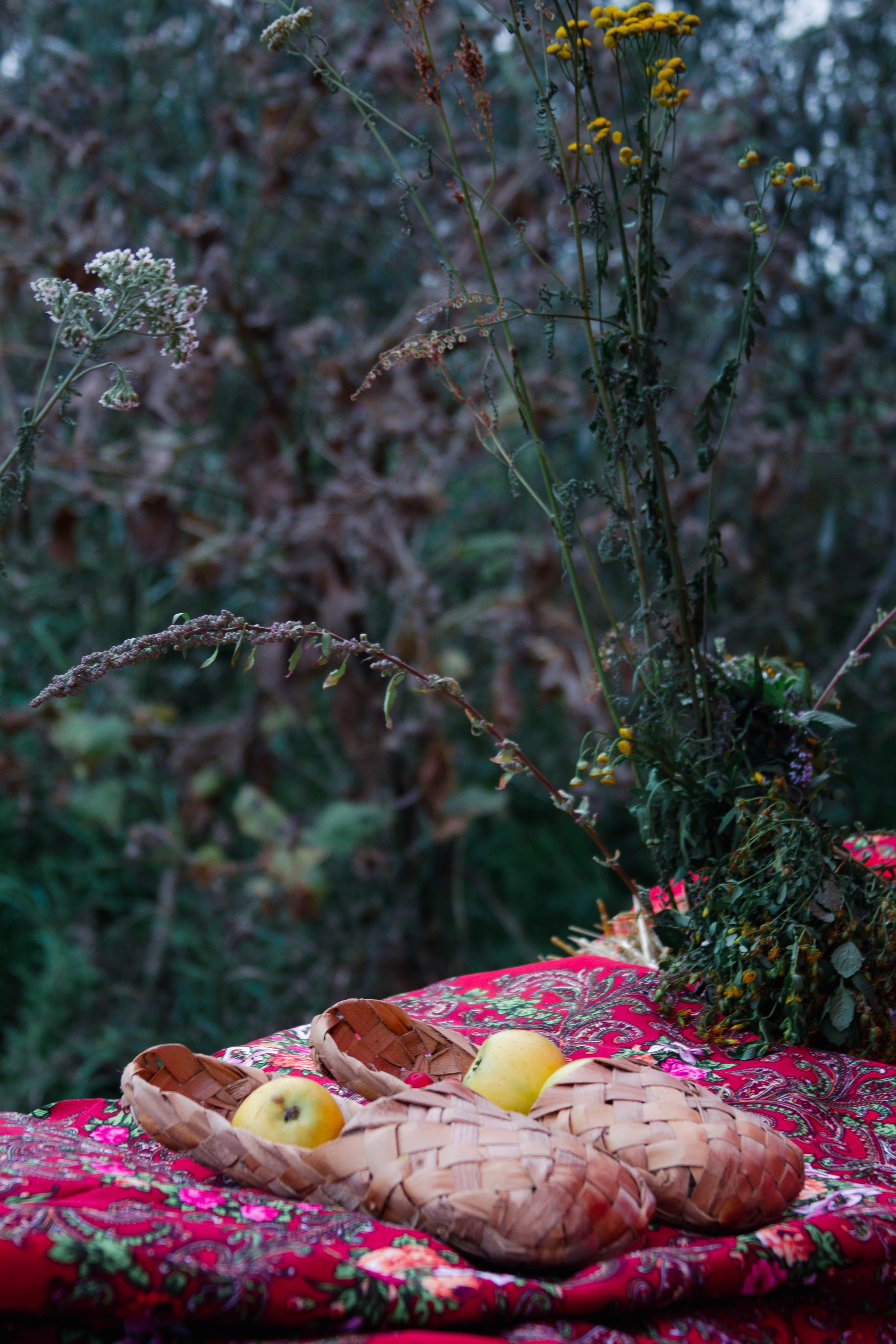 Жатва 2025. Фотограф Маша Корнеева