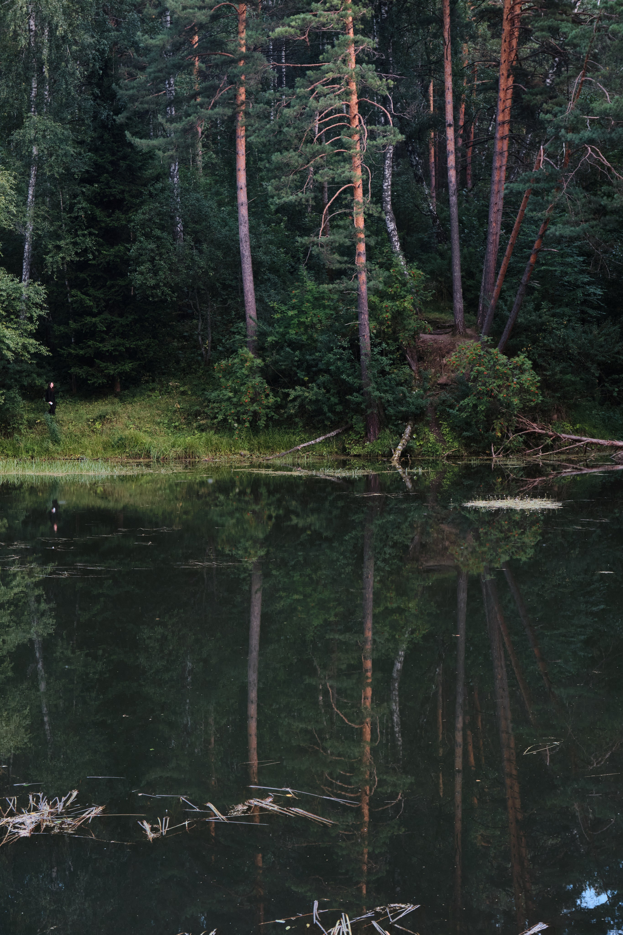 Академ-городок и ботанический сад. Goncharov Tim