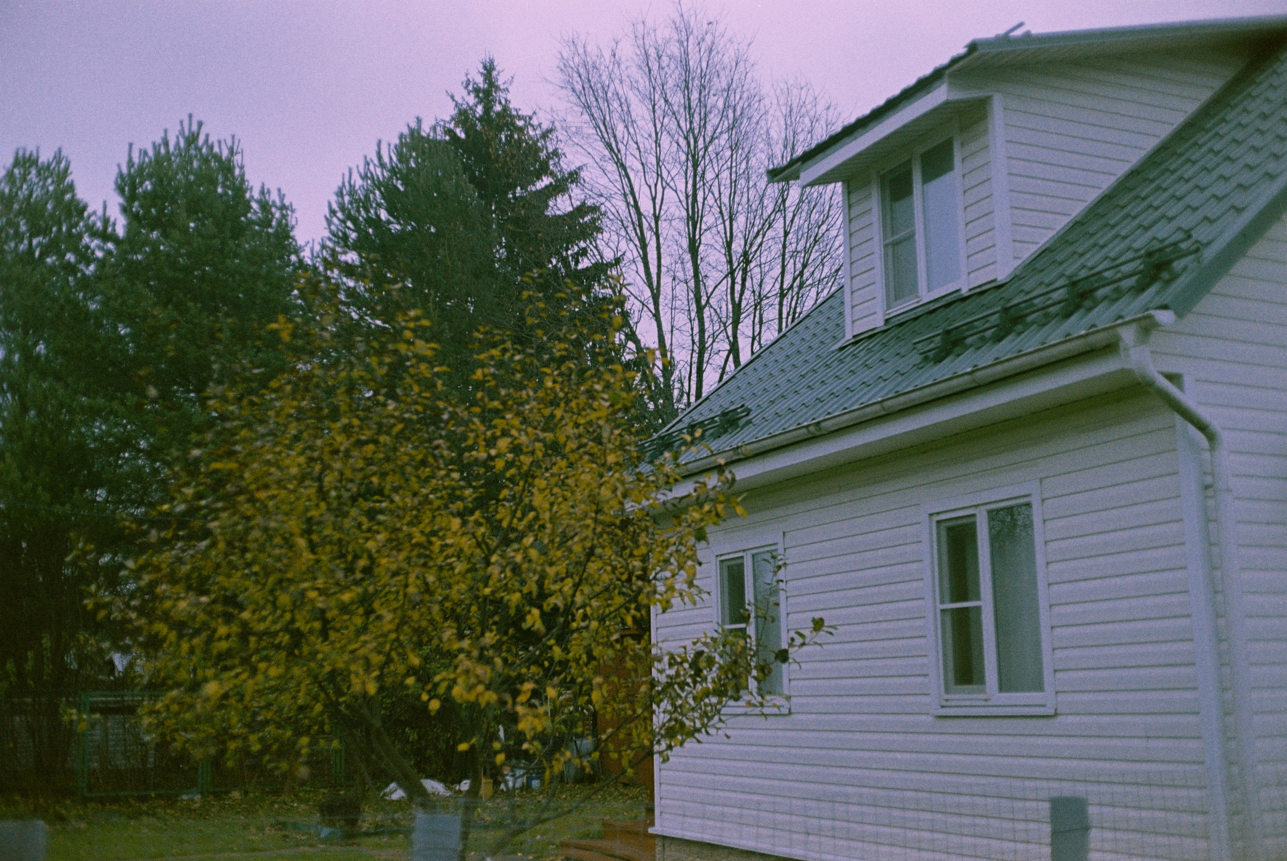 Minolta Hi-Matic 7sII / Kodak Color Plus 200 (просрочка)