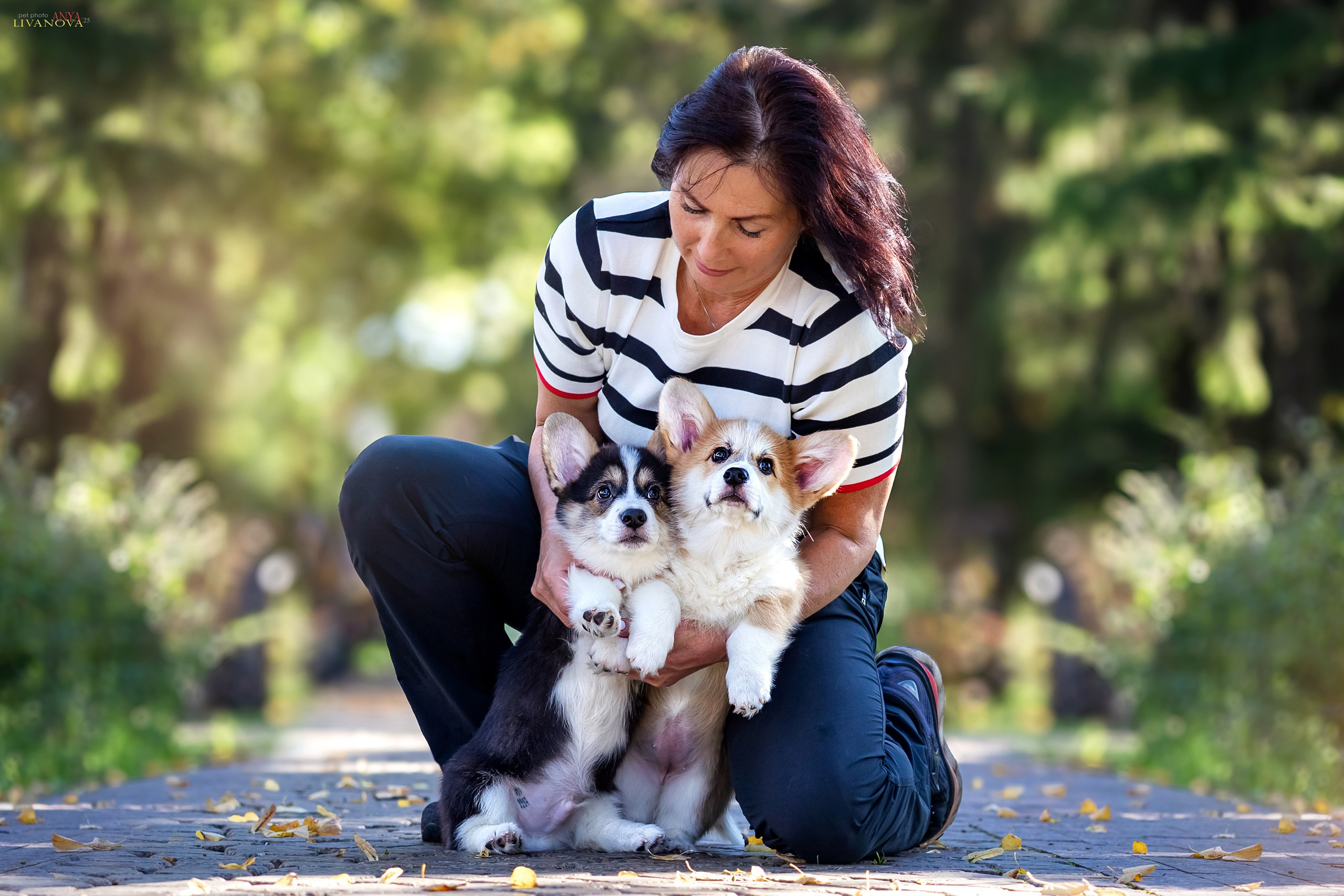 Коржики. Фотограф анималист Аня Ливанова | Рыбинск