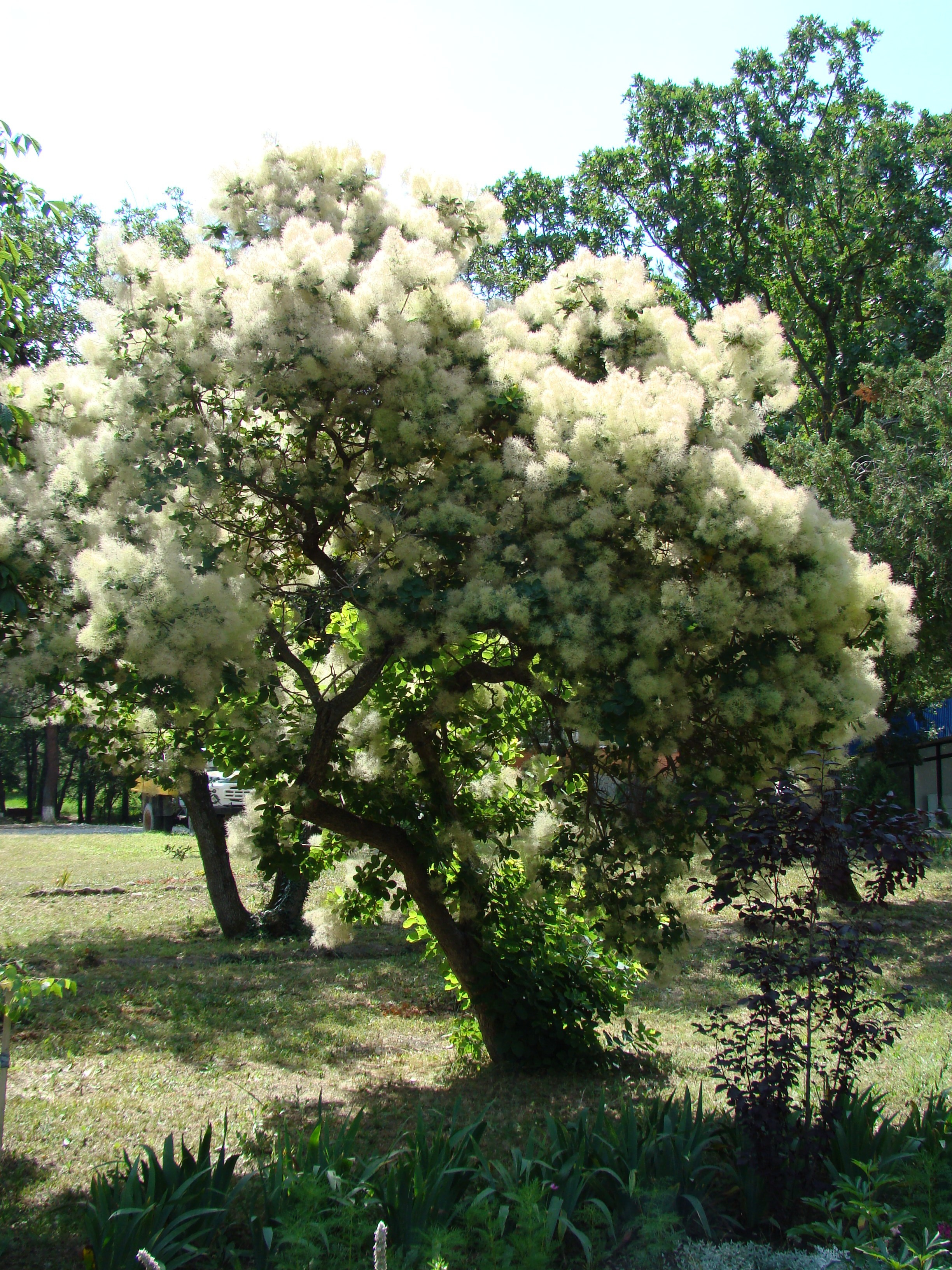 Кабардинка (фото Зевиных) 25.06-24.07.2008. Семейный, Свадебный фотограф СПБ Питер— Романова Екатерина