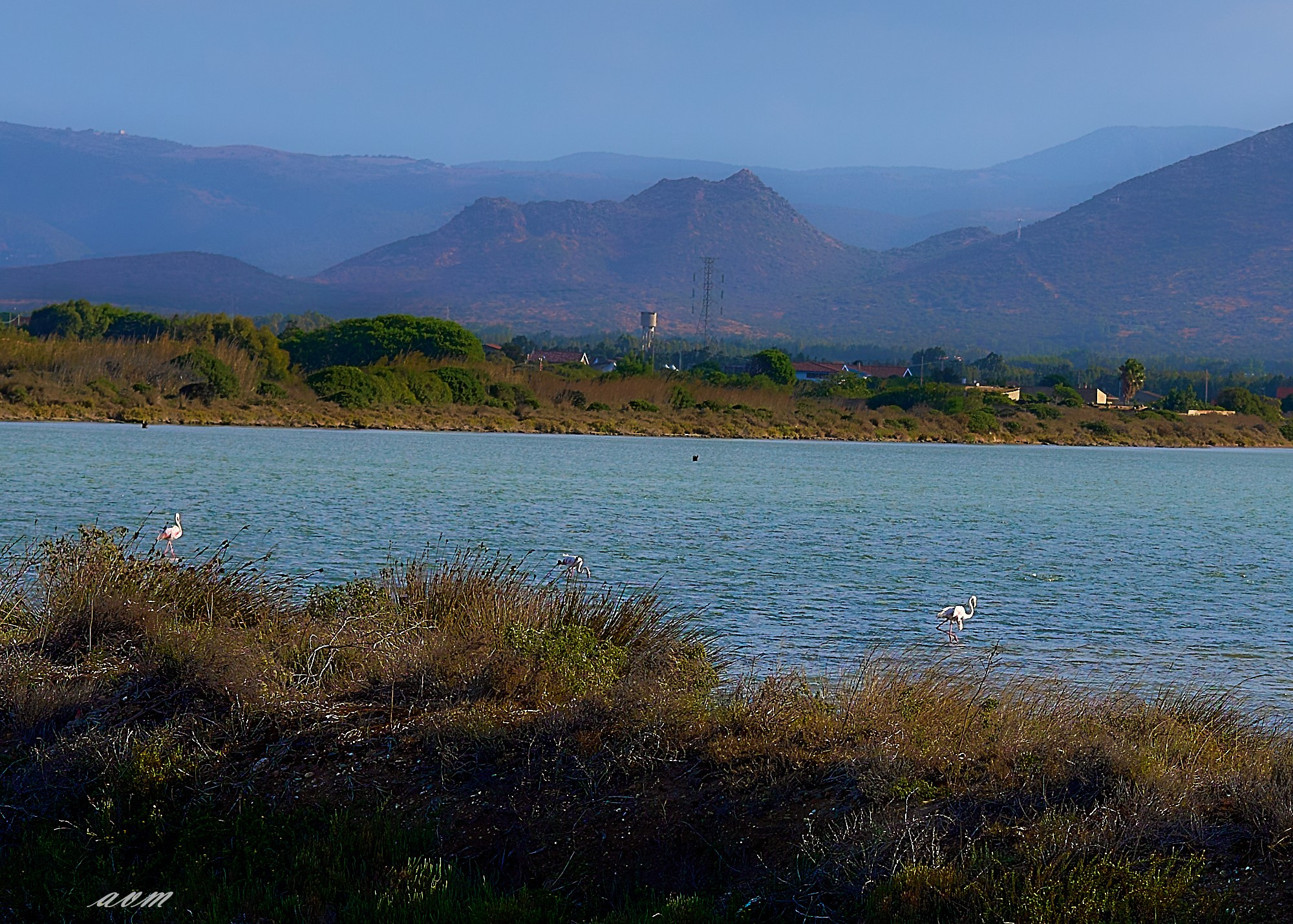 Сардиния. Фотограф Михеев Андрей