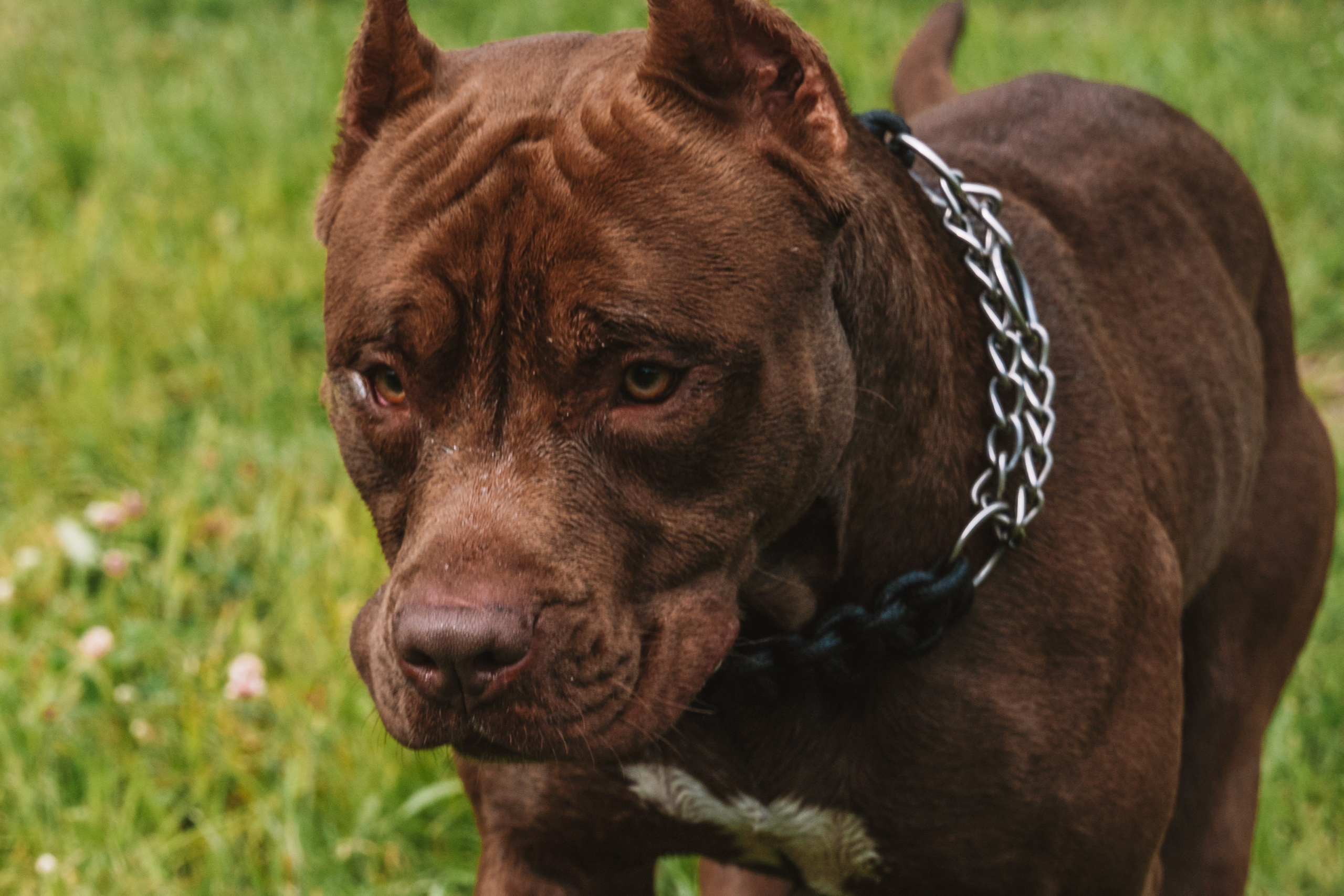 Лав стори фотограф Санкт-Петербург. Свадебный, семейный, портретный, репортажный фотограф в Санкт-Петербурге
