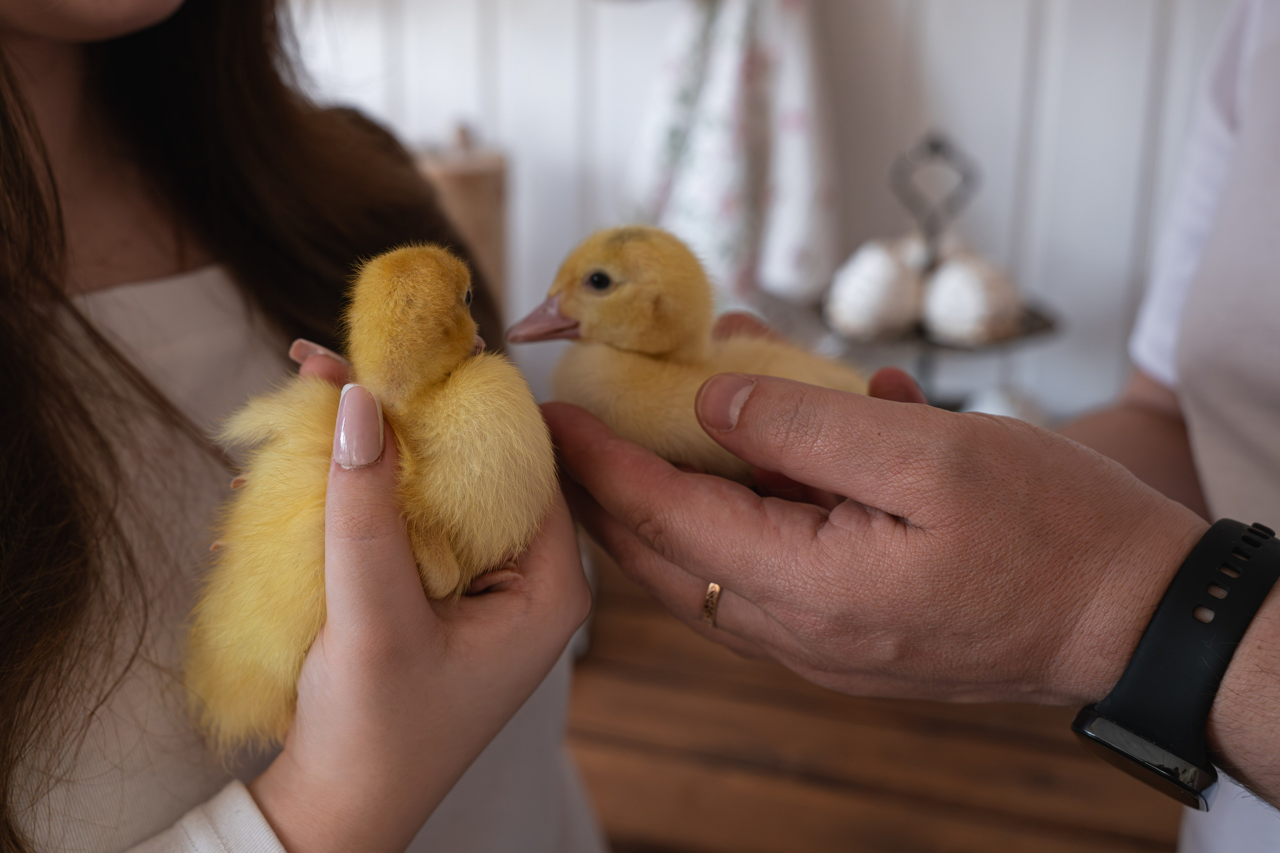 Семейная с уточками. Свадебный и семейный фотограф в Москве и МО (Фрязино, Королёв, Коломна) Макеева Алёна