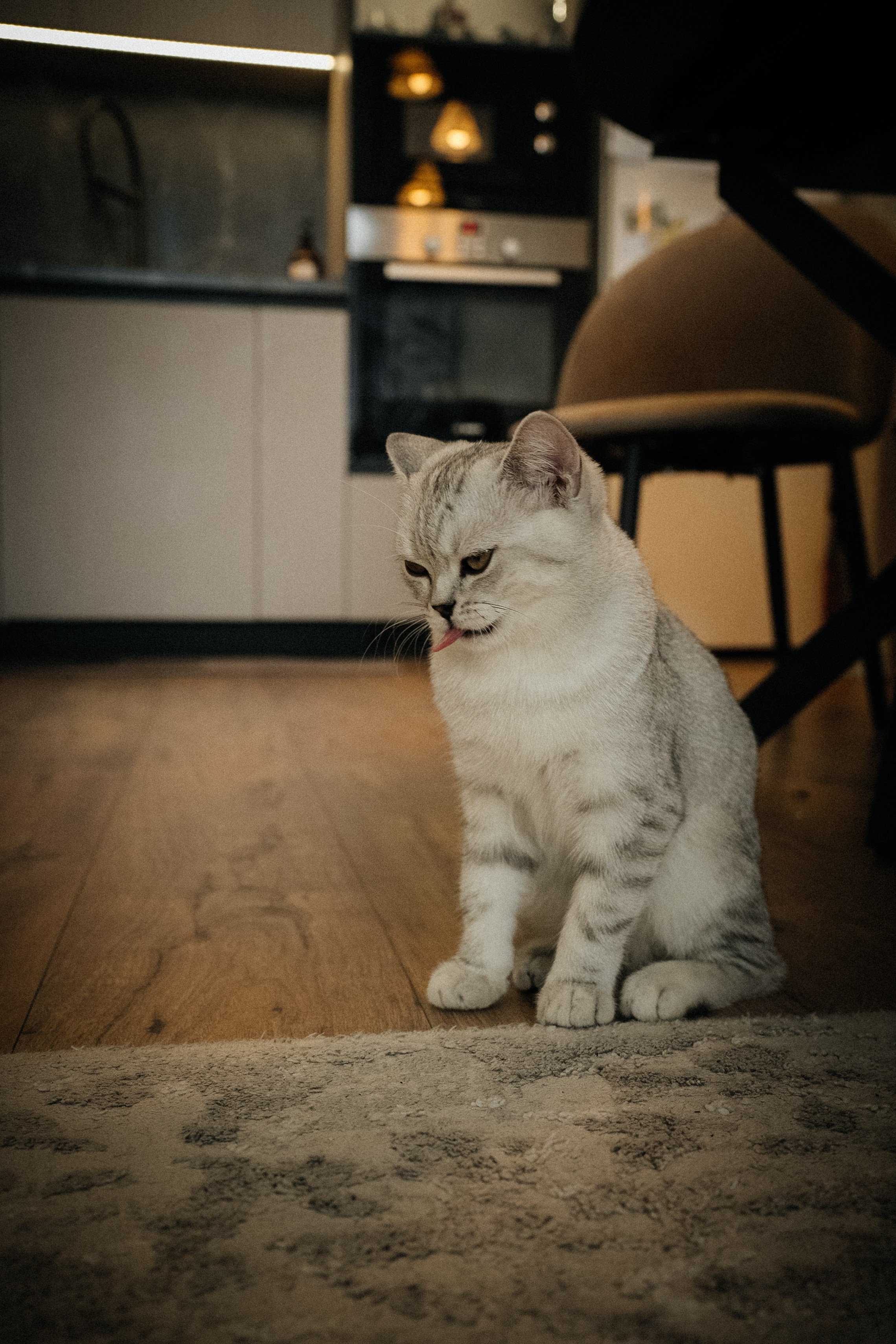 Семья Ксении и Максима. Фотограф | Юлия Арт| Обучение