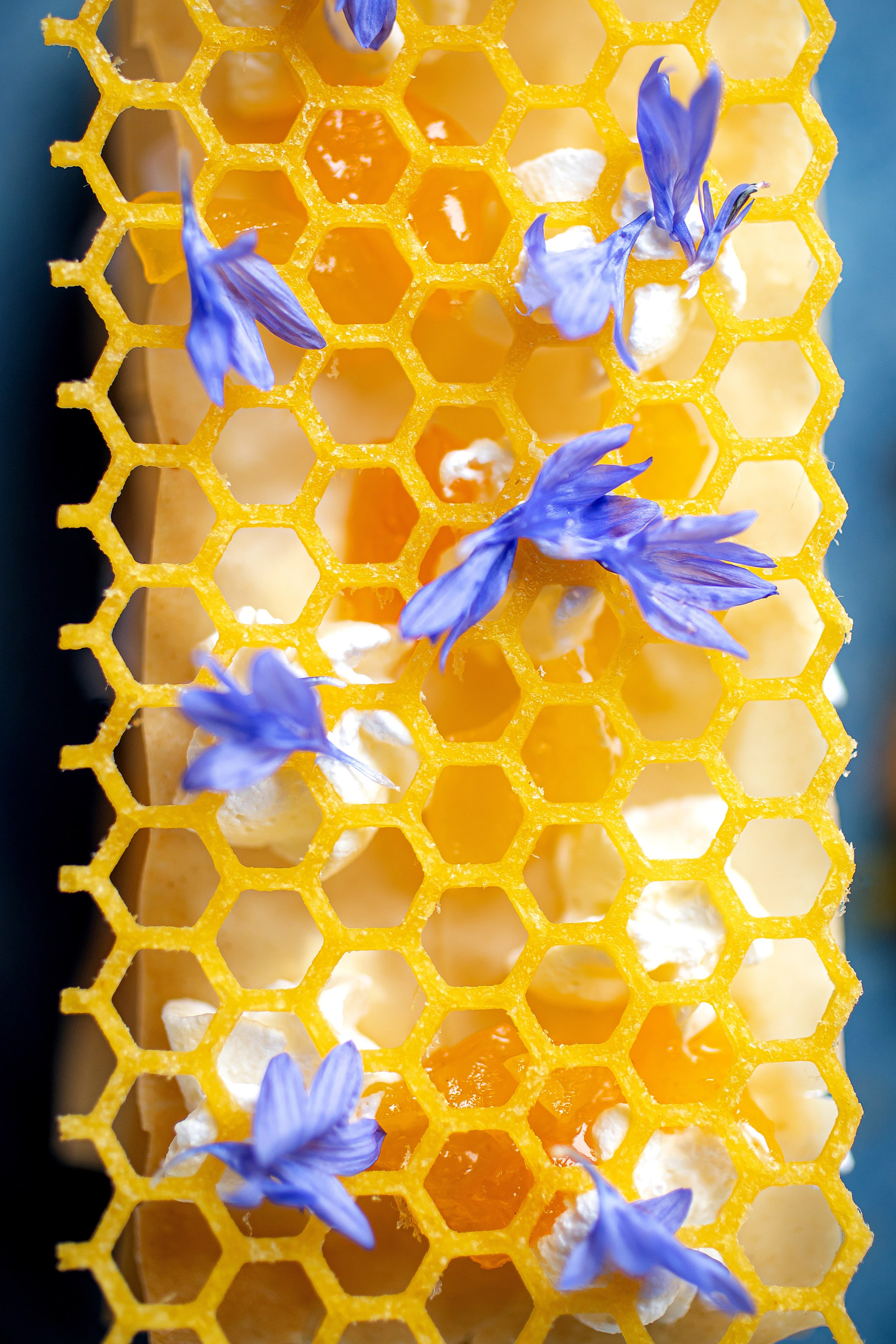 LEVELS. Фотограф Агеева Мария