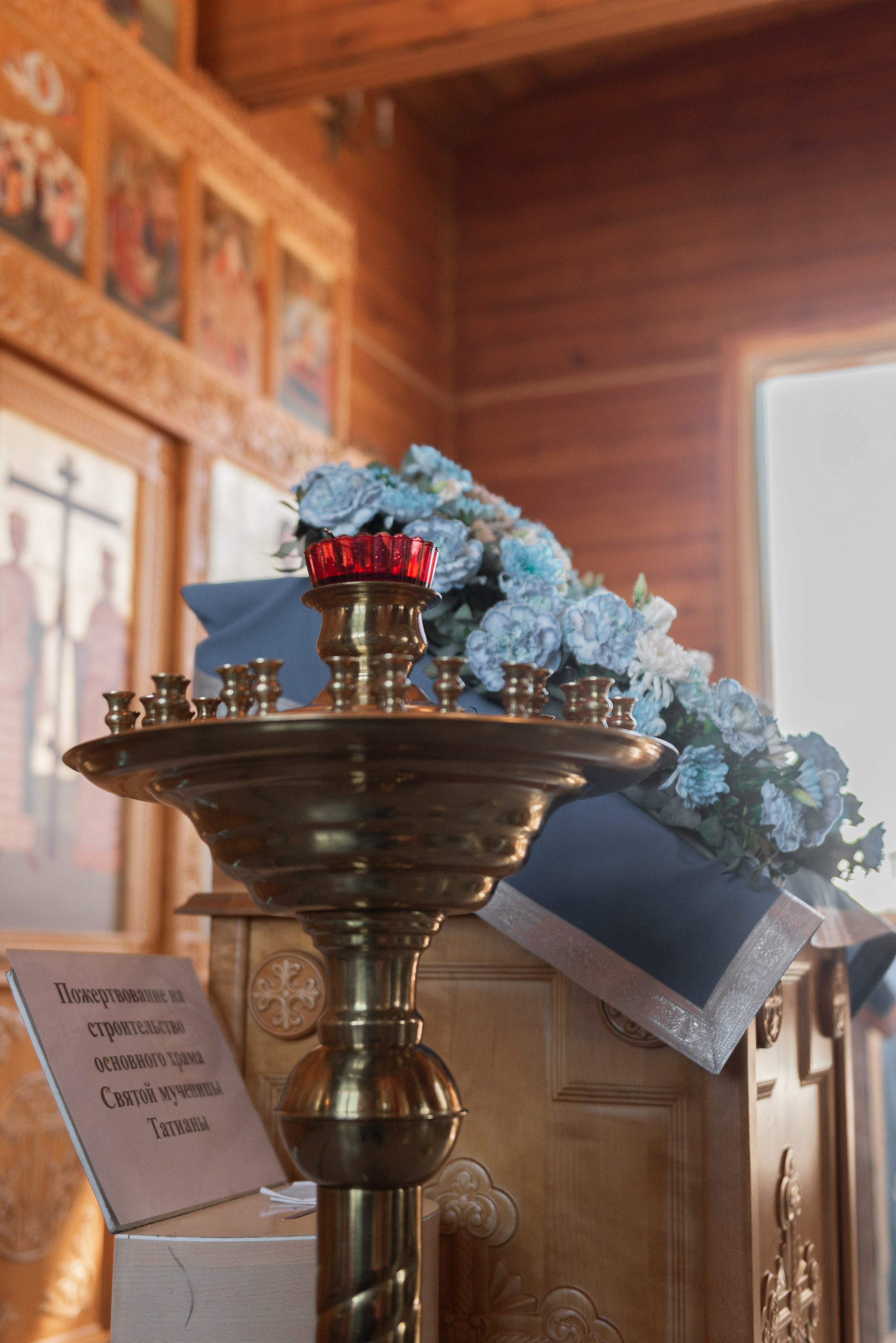 Даша. Детский фотограф, семейный фотограф и репортажи в Кемерово